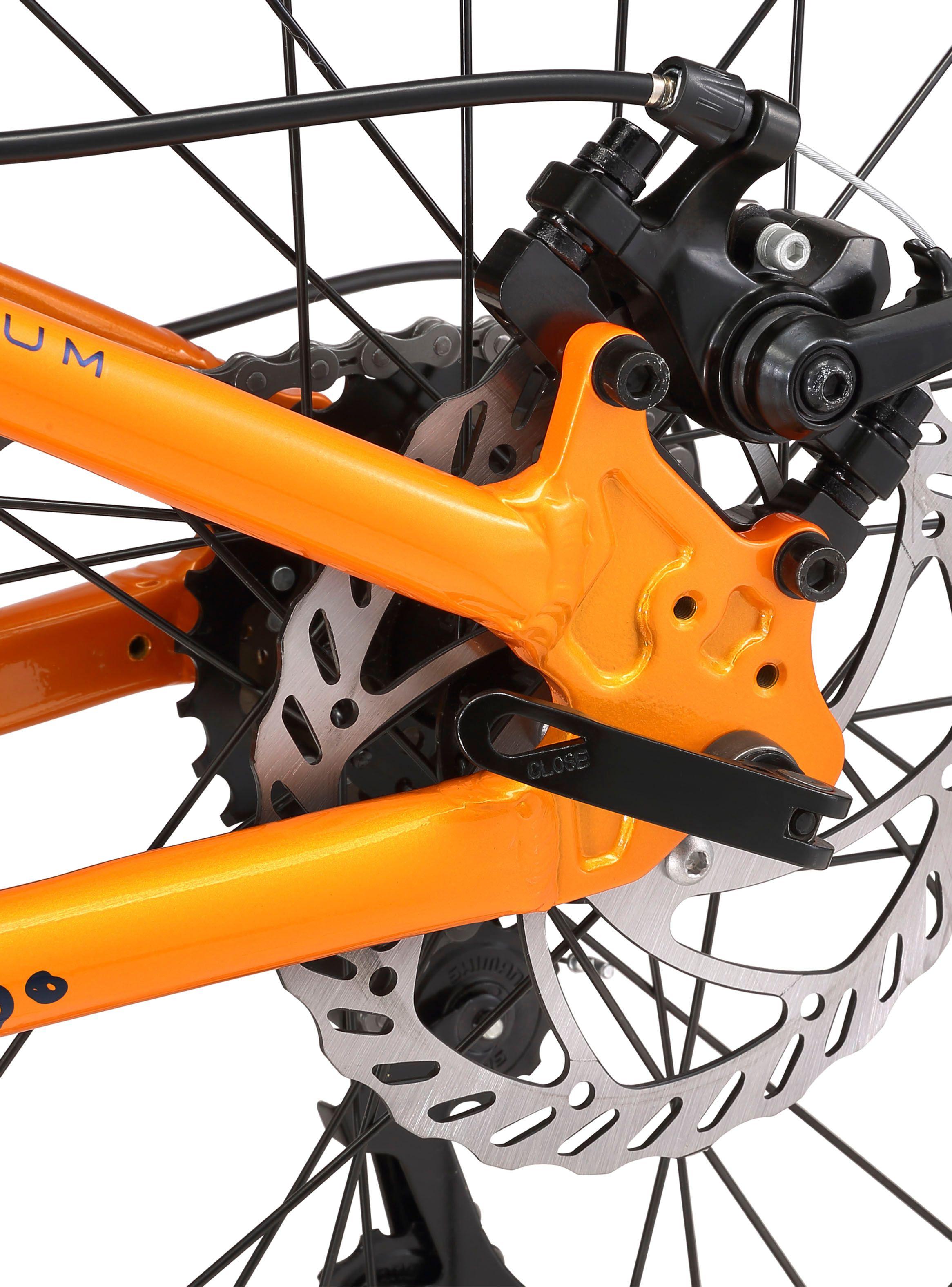 Bicicleta Infantil Drako Suspensión Aro 20"-4