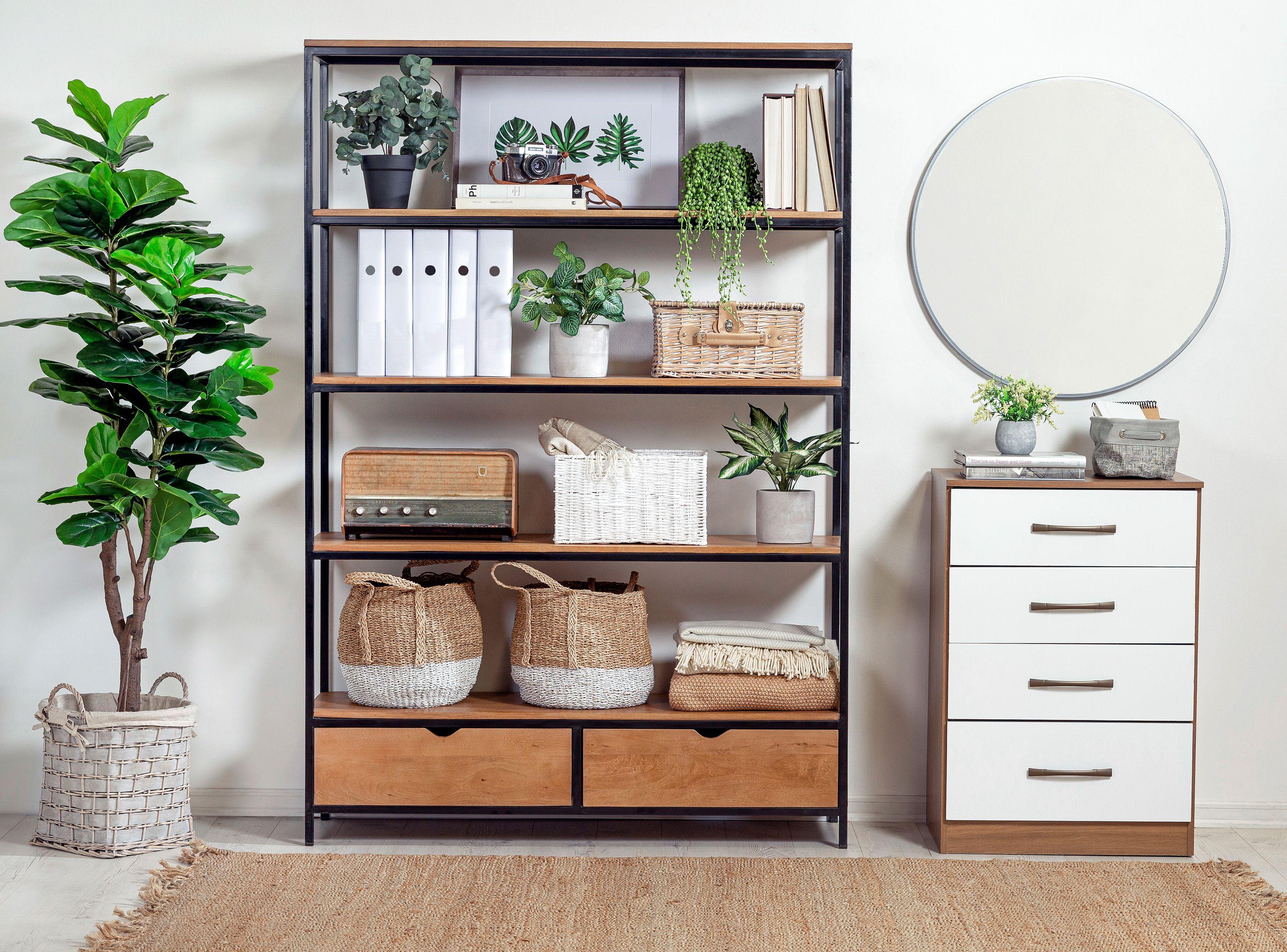 Planta Leaf Base Cemento-3