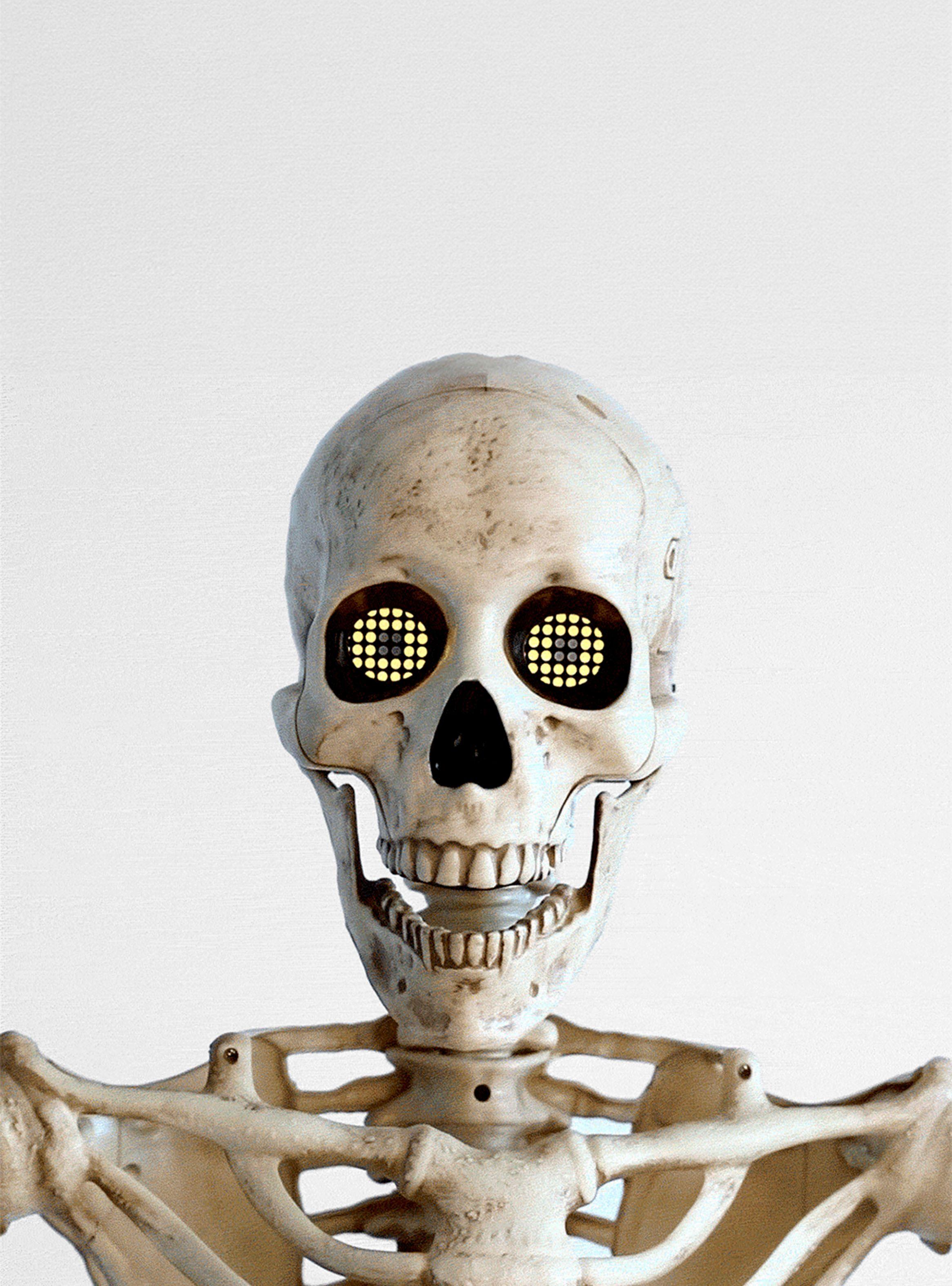 Esqueleto Tamaño Real-2