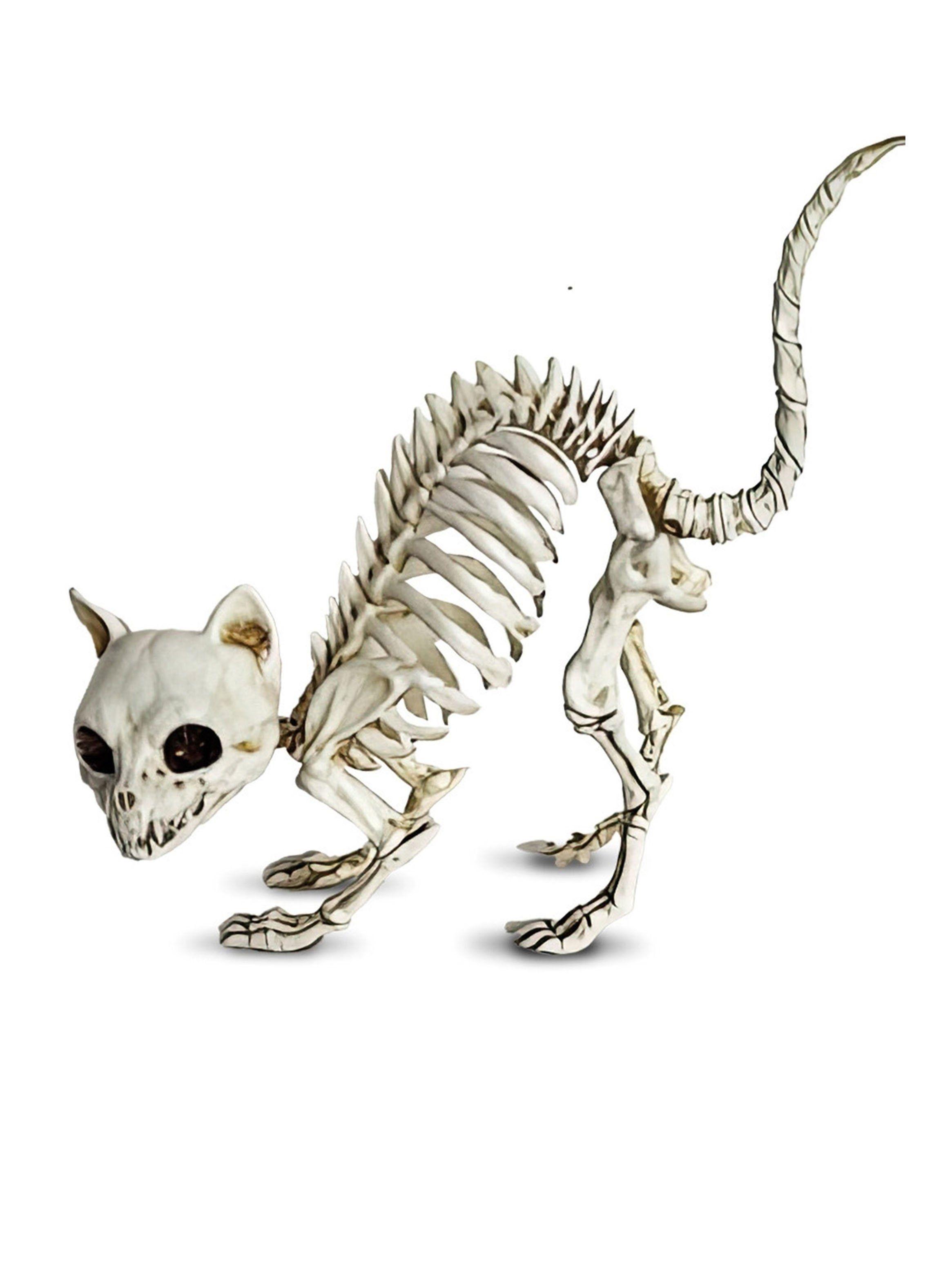 Esqueleto Gatito-1