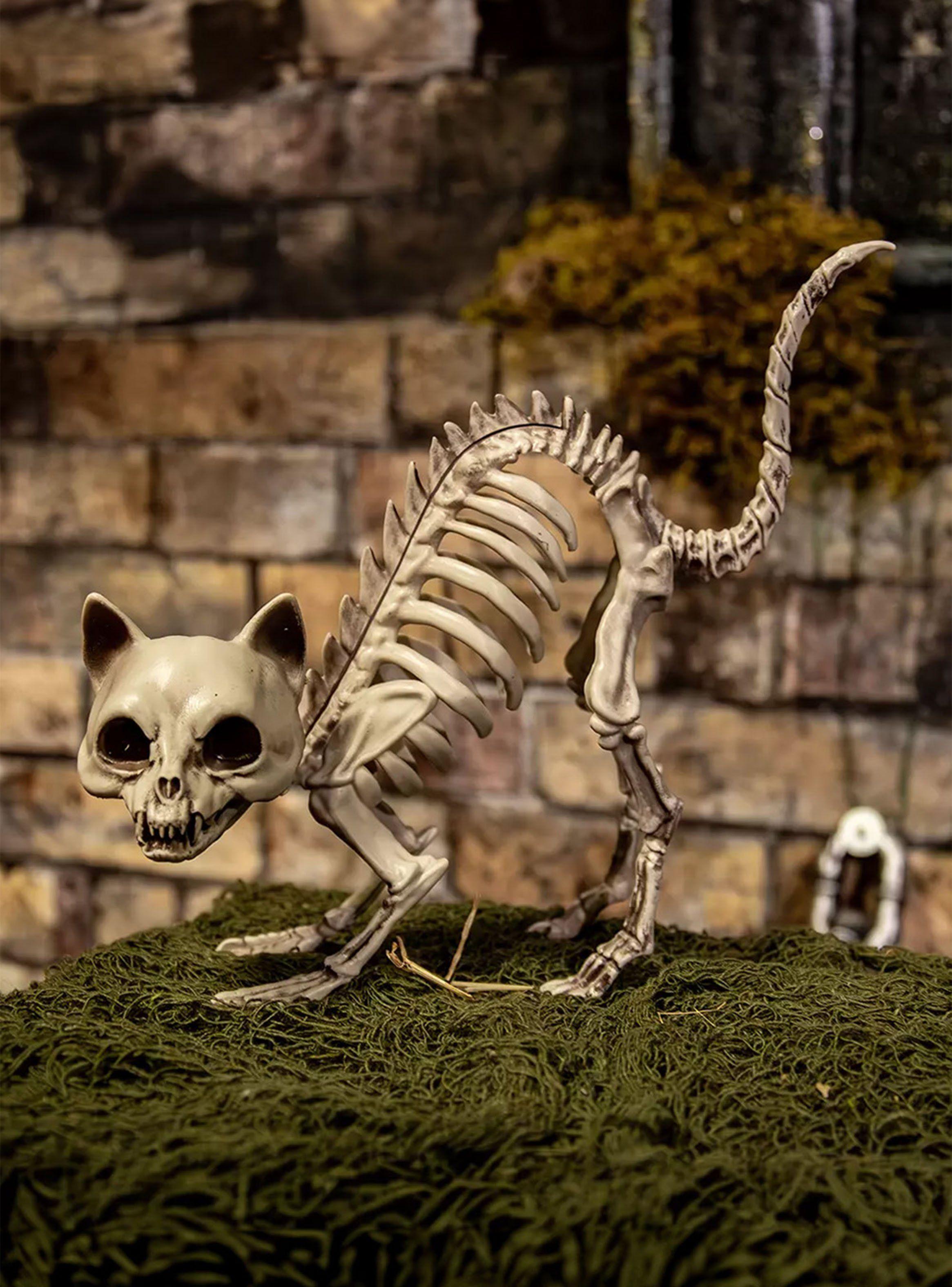 Esqueleto Gatito-2