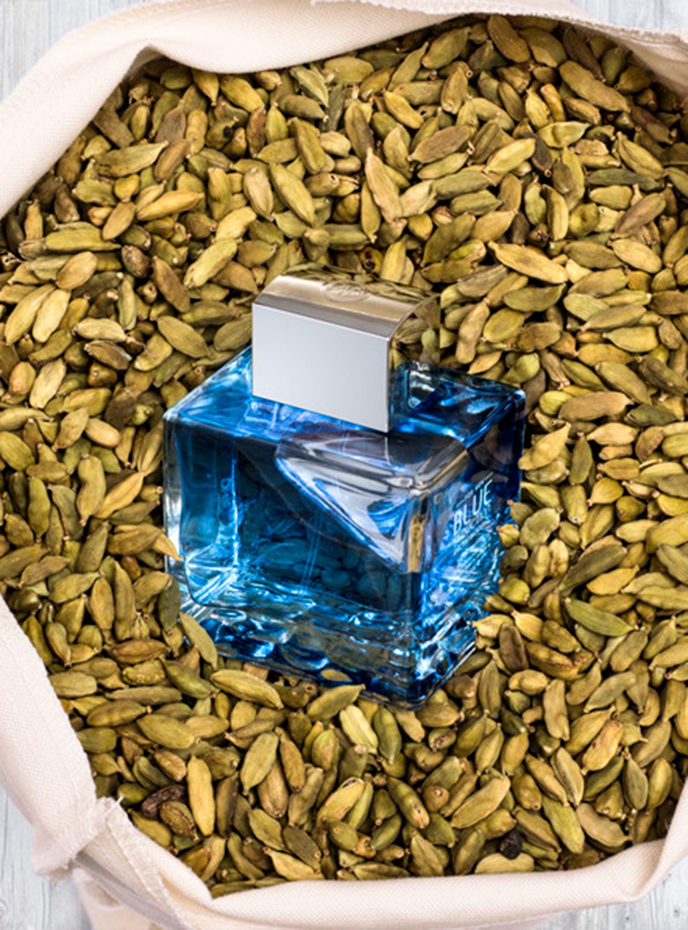 Perfume Blue Seduction Man EDT Hombre 200 ml + Mochila Antonio Banderas-4
