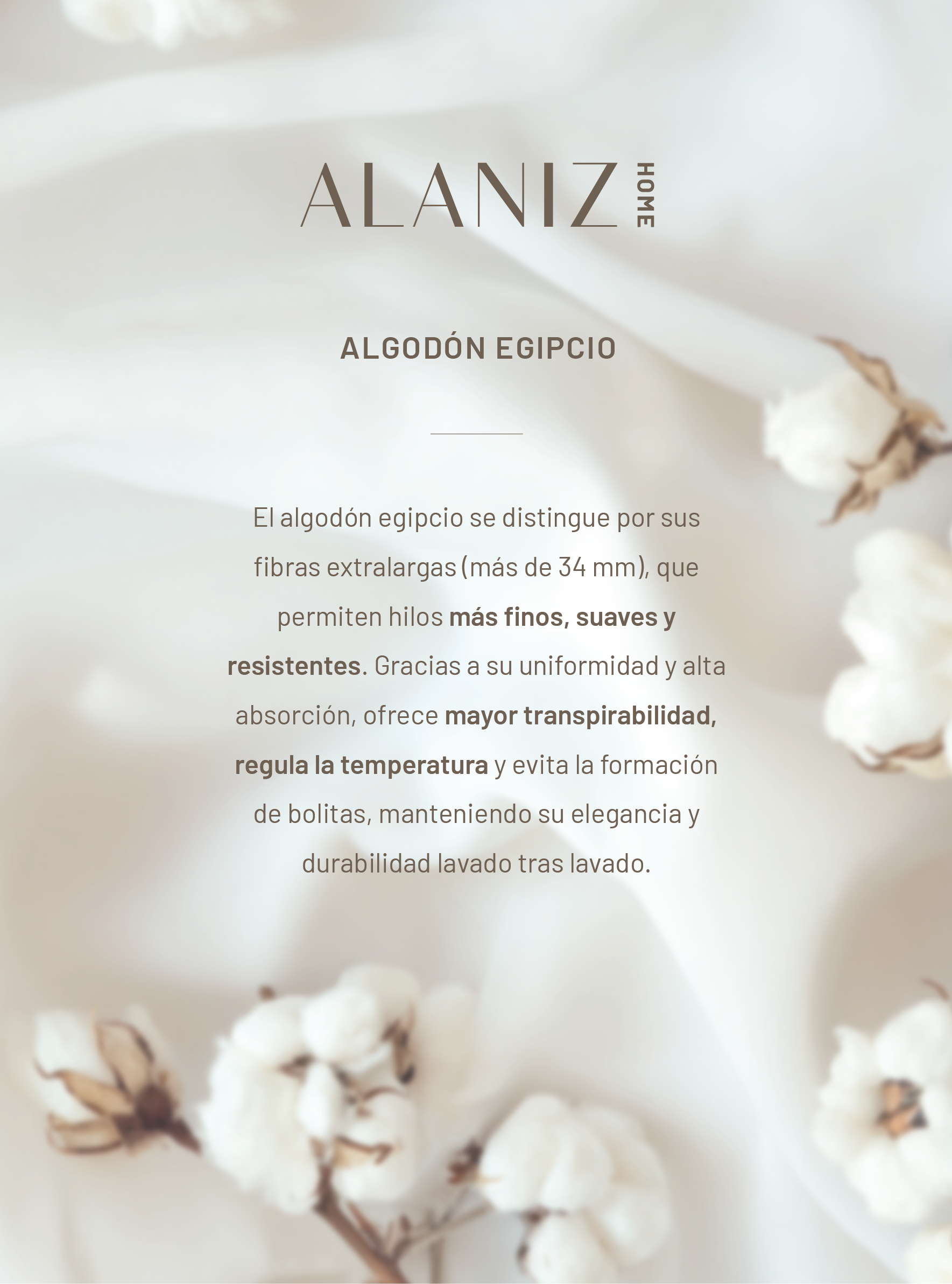 Sábanas King 500 Hilos Algodón Egipcio-4