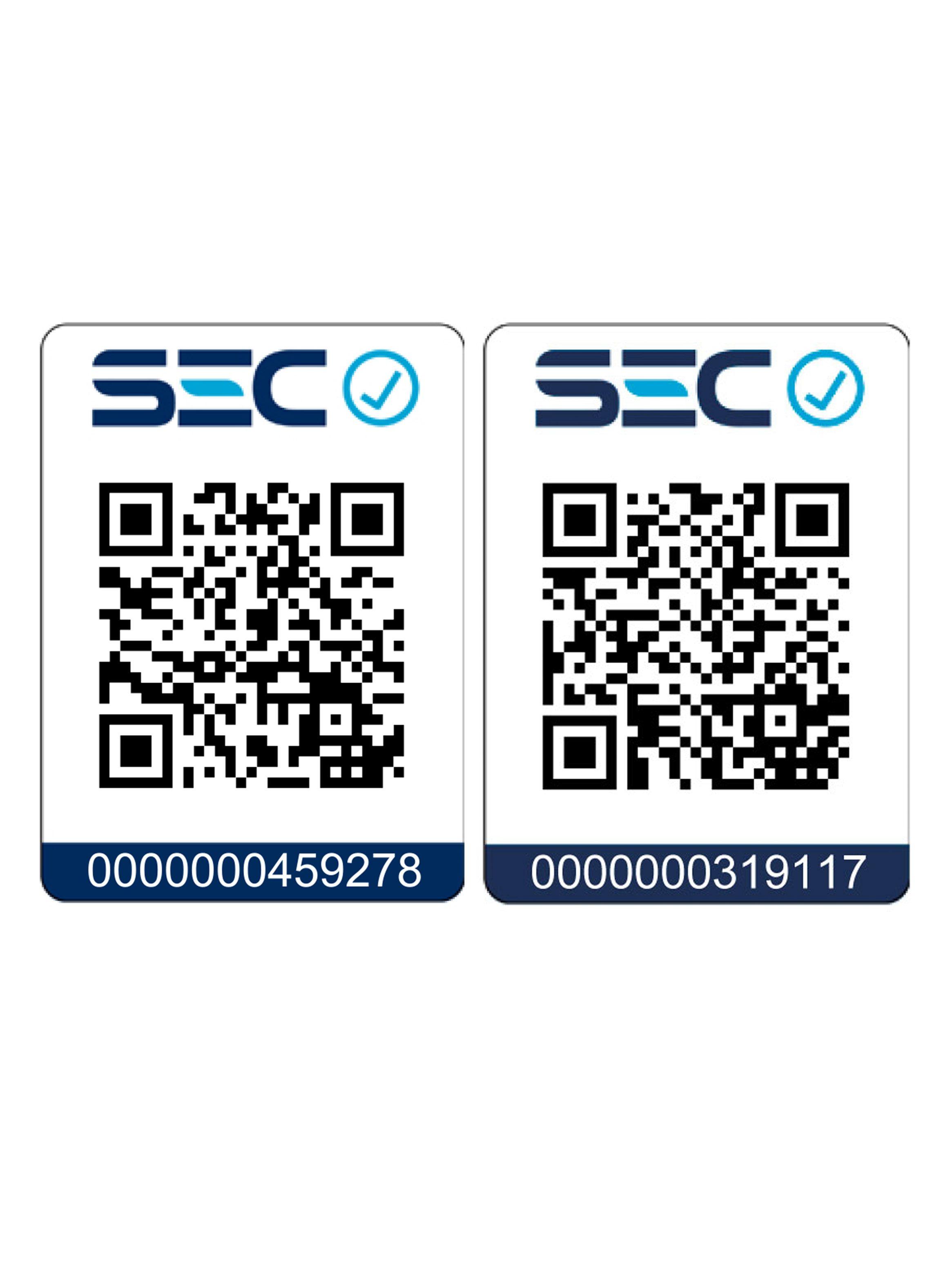 Alisador de Pelo Alais + Secador de Pelo Eolic Mini-5