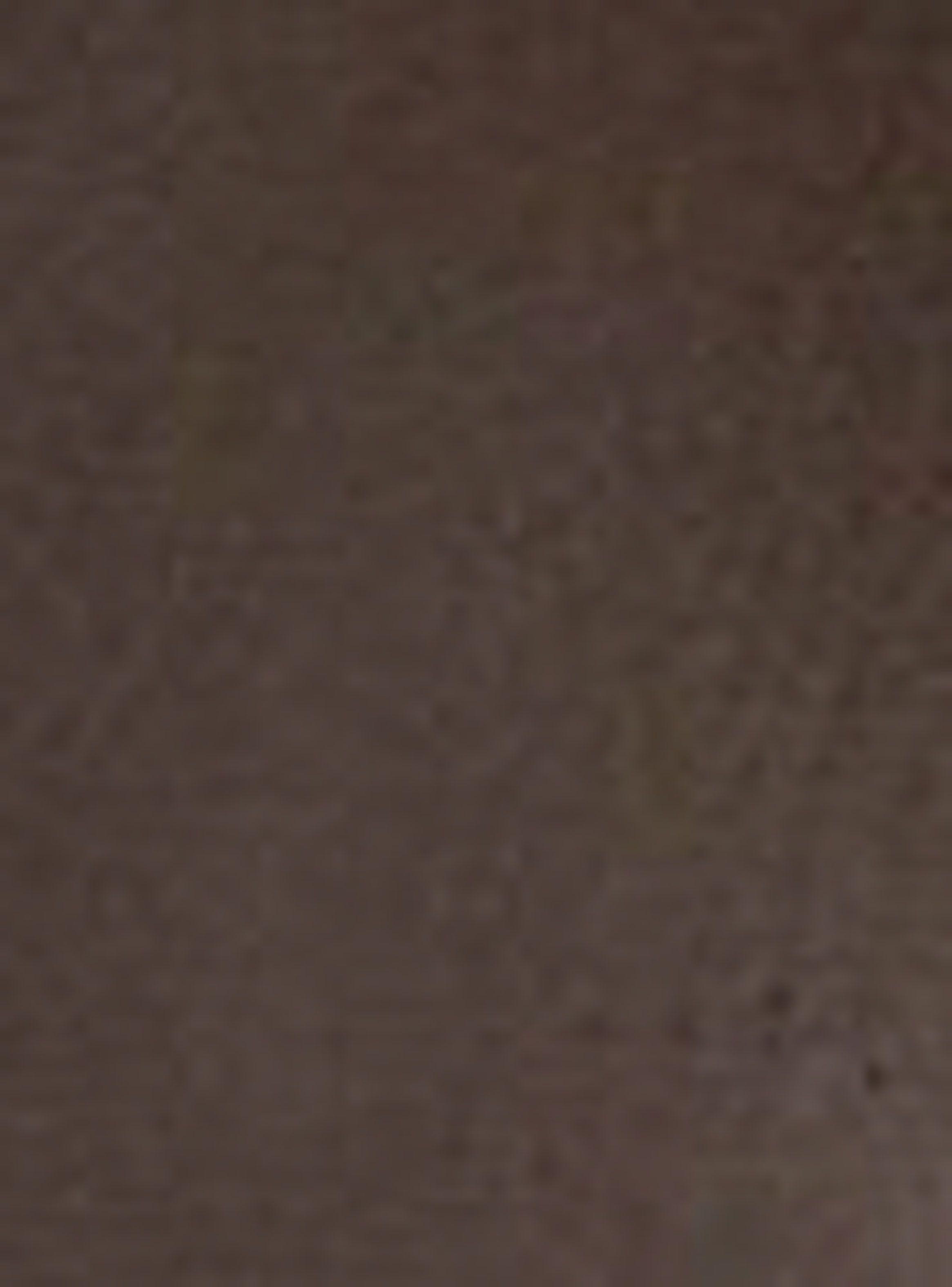 Botín Dune Paysan Burgundy Mujer-6