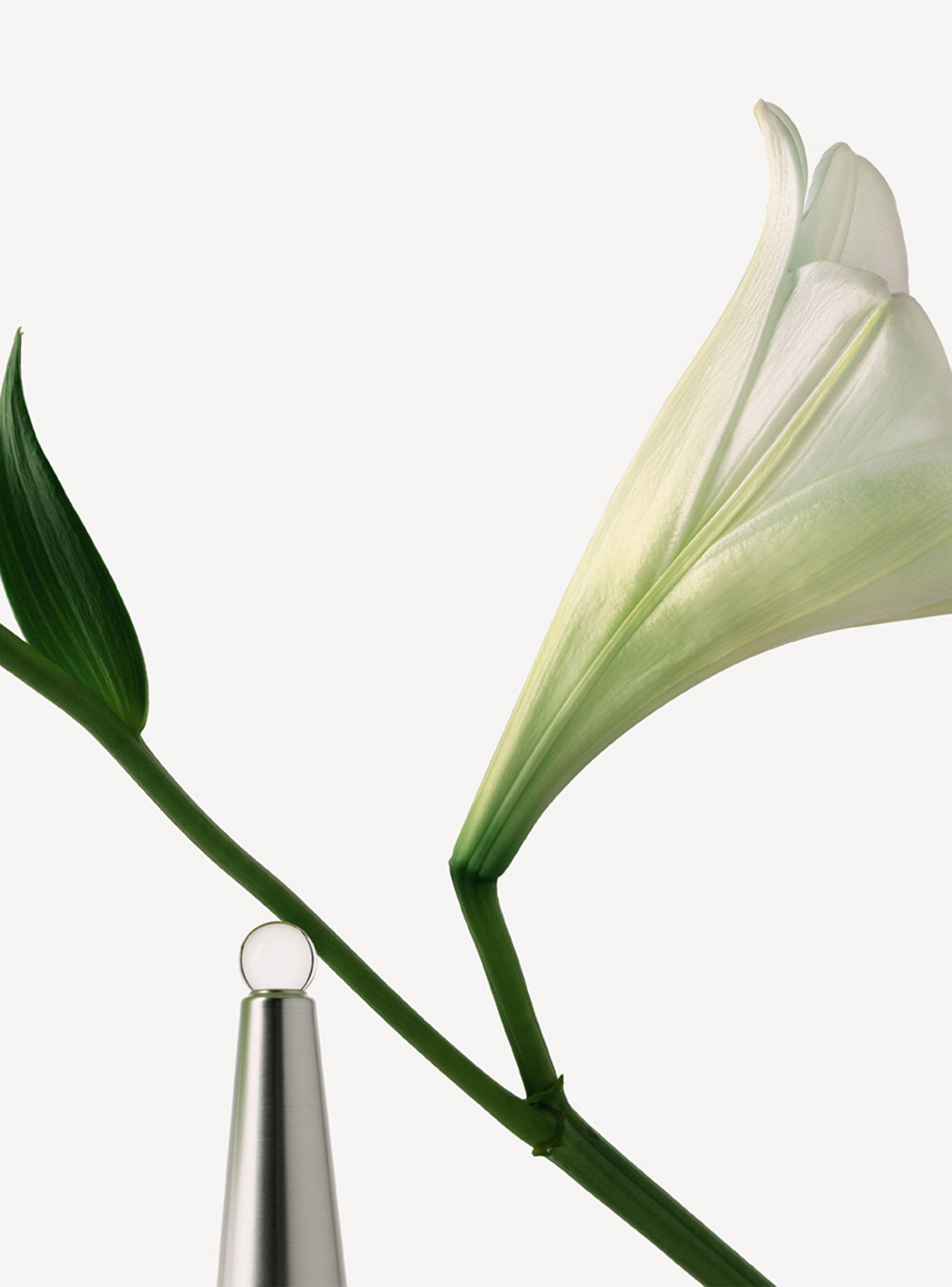 Perfume Issey Miyake L'Eau D'Issey Mujer EDT 25 ml-4