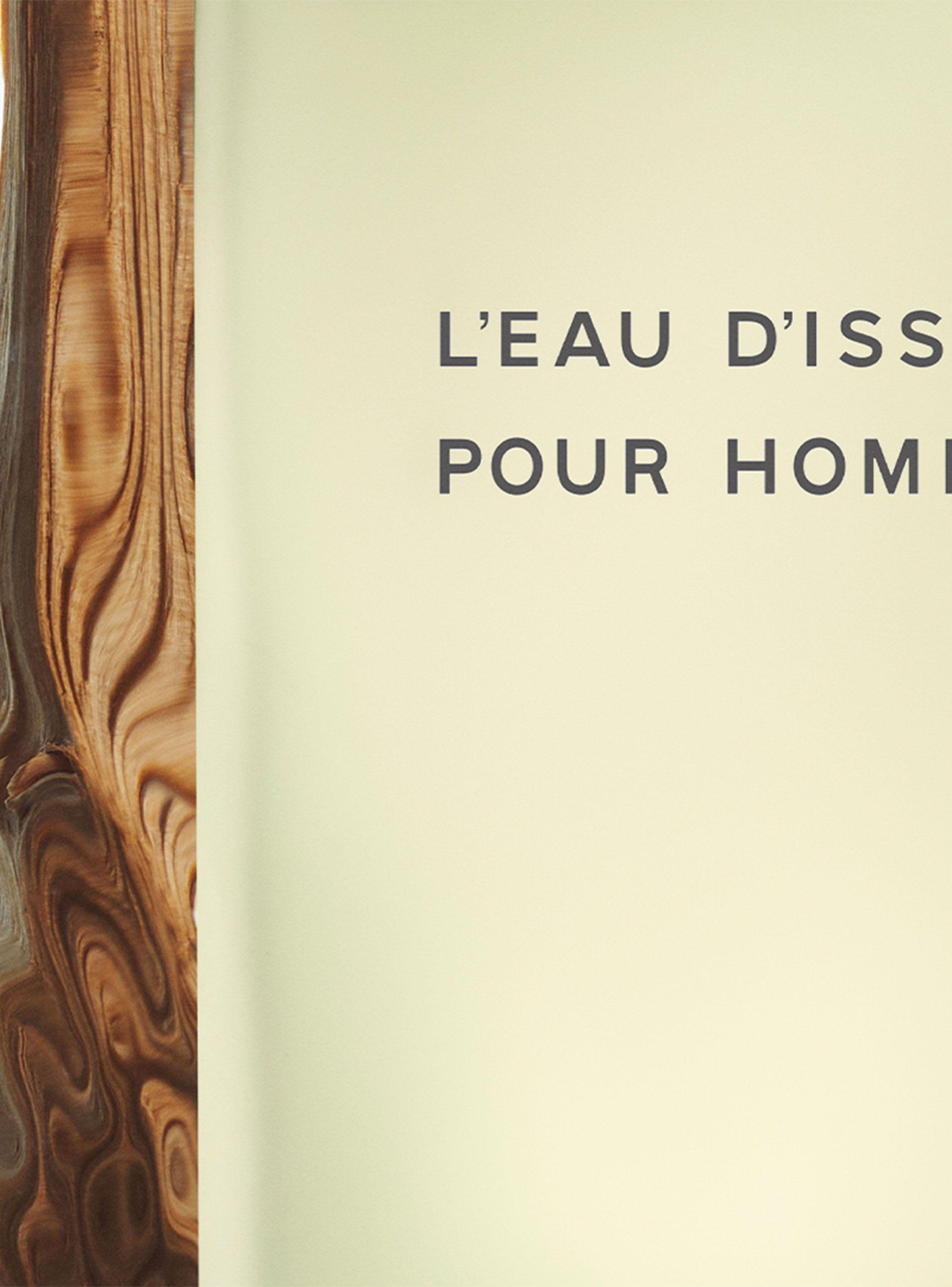 Perfume Issey Miyake L'Eau D'Issey Hombre EDT 40 ml-3