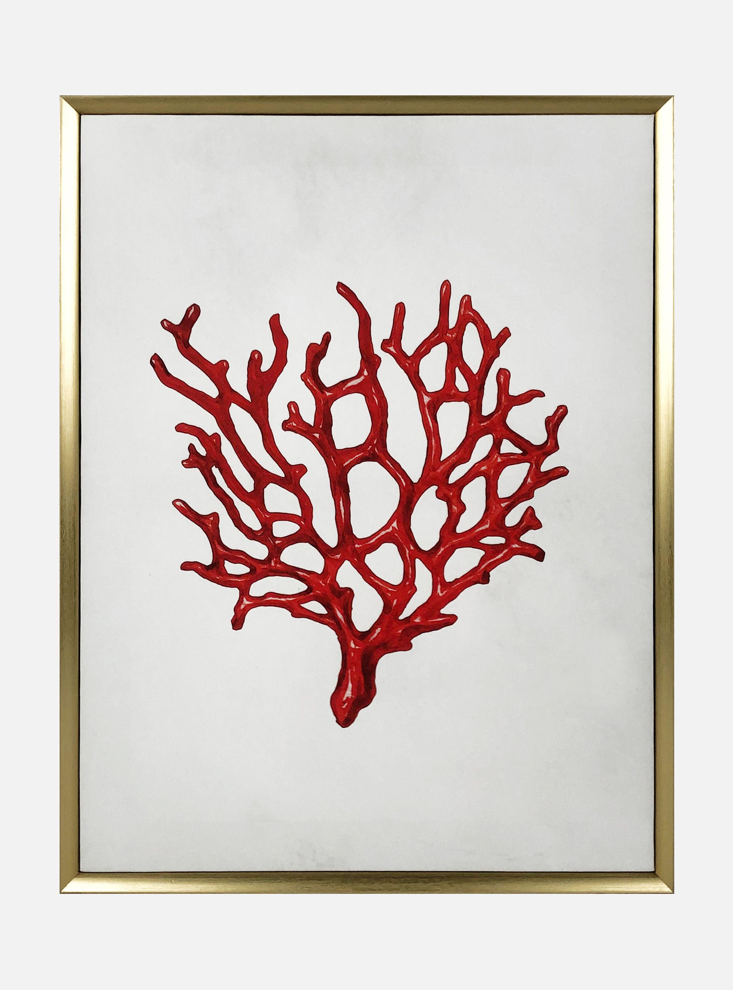 Cuadro Attimo Coral 45 x 60 cm-0