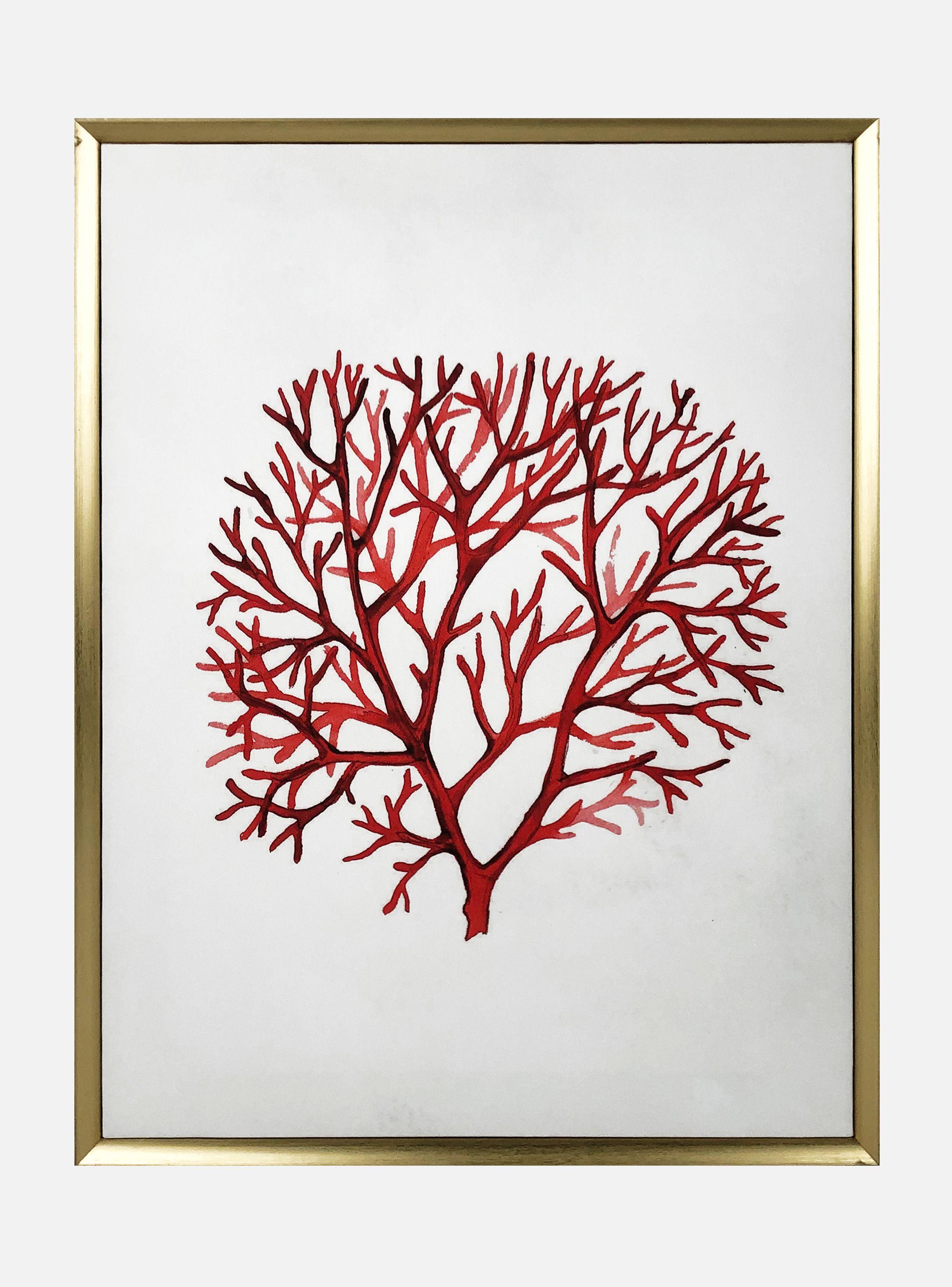 Cuadro Attimo Coral Diseño 2 45 x 60 cm-0