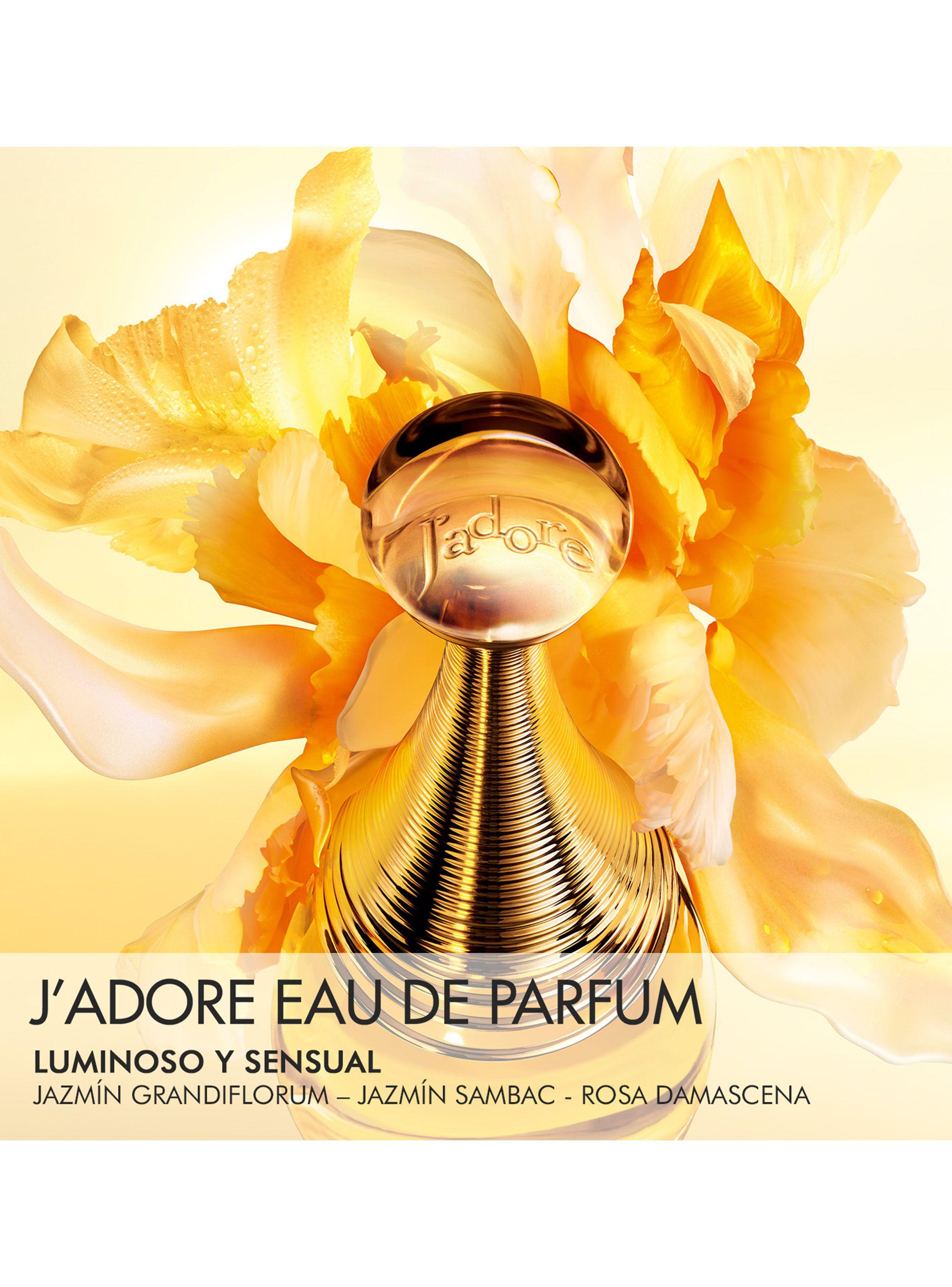 Cofre J'adore Parfum d'eau Edición Limitada-3