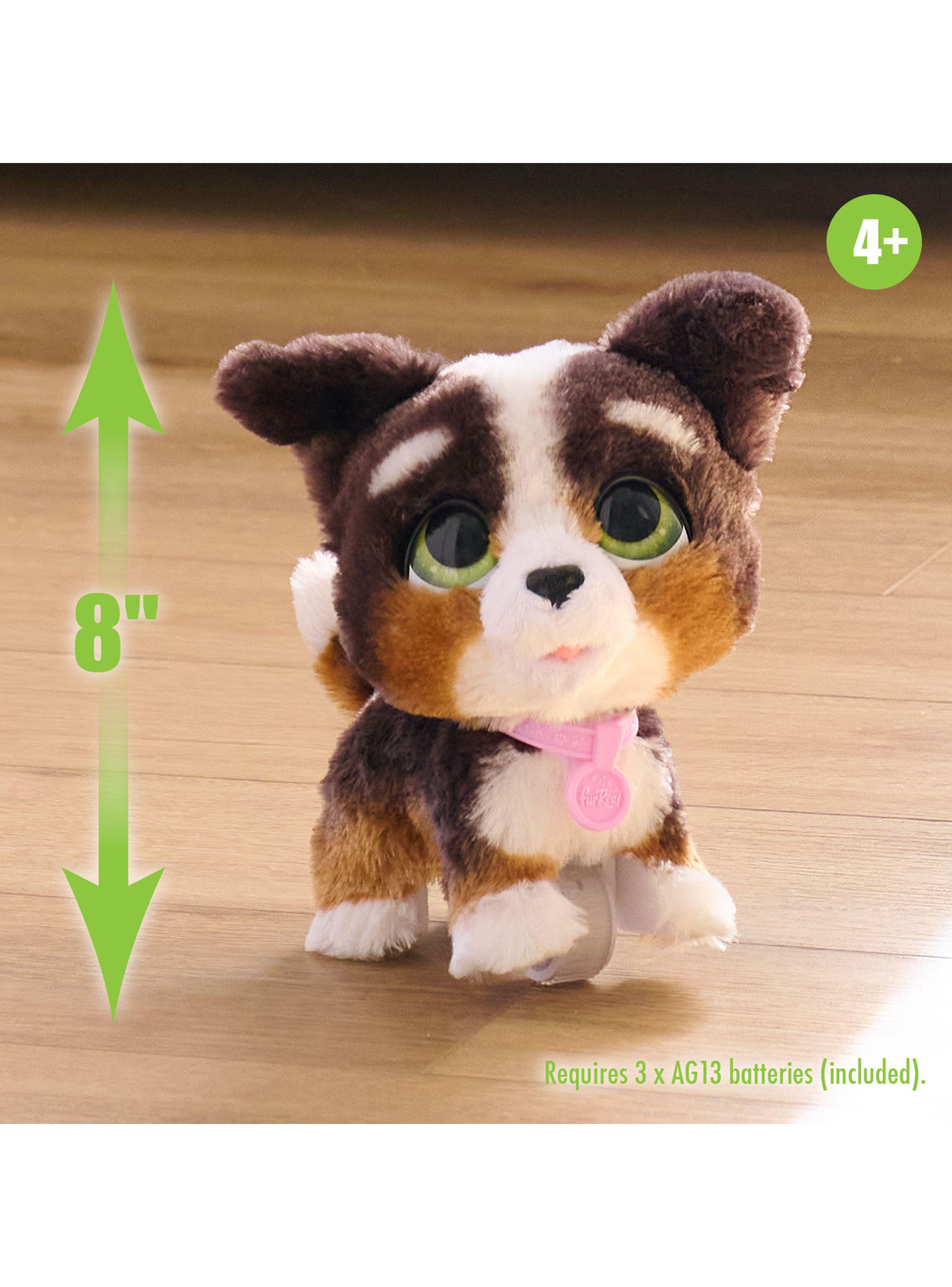 Peluche Walk-A-Lots Bernedoodle-1