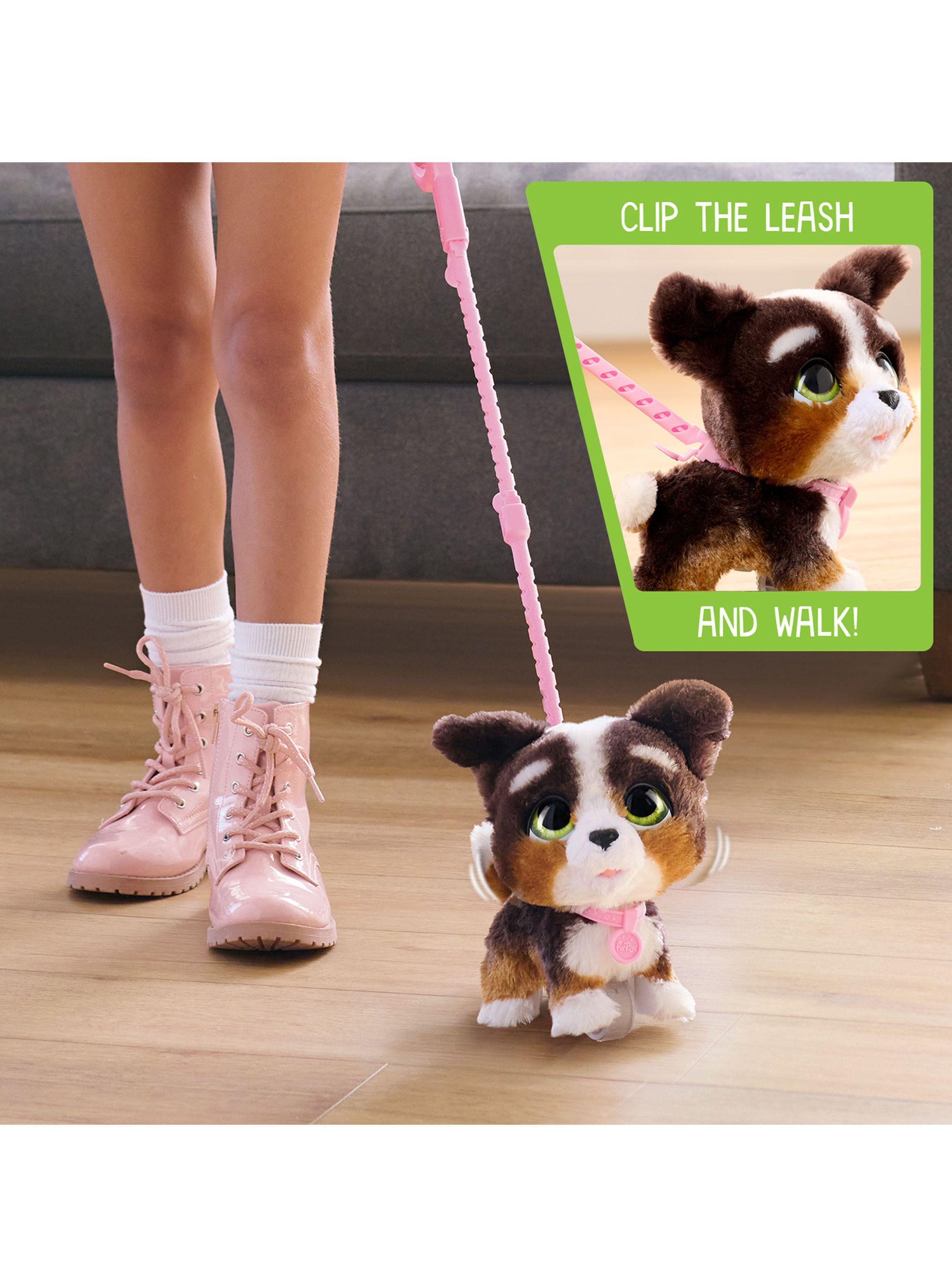 Peluche Walk-A-Lots Bernedoodle-3