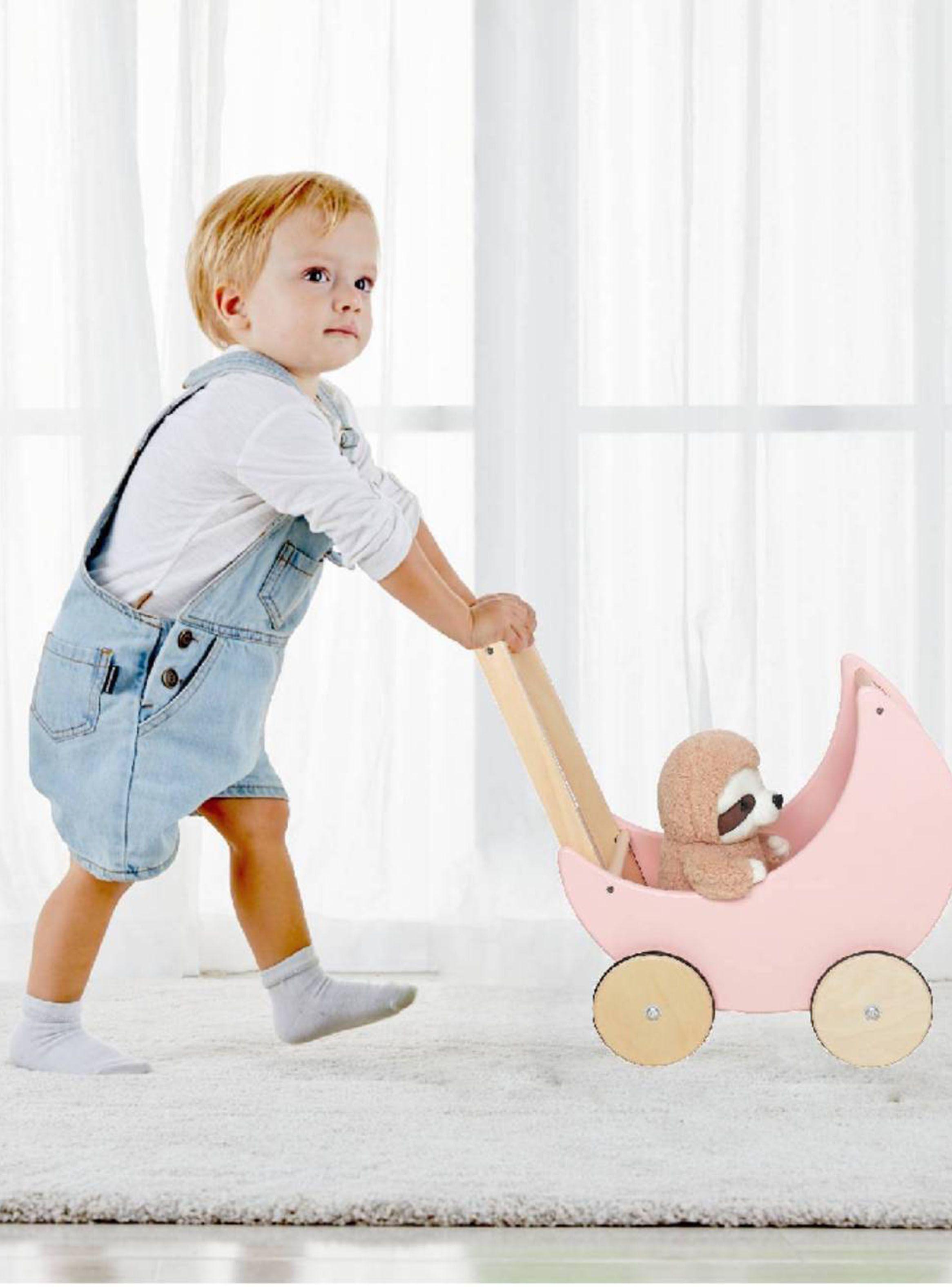Caminador Rosita Coche-4