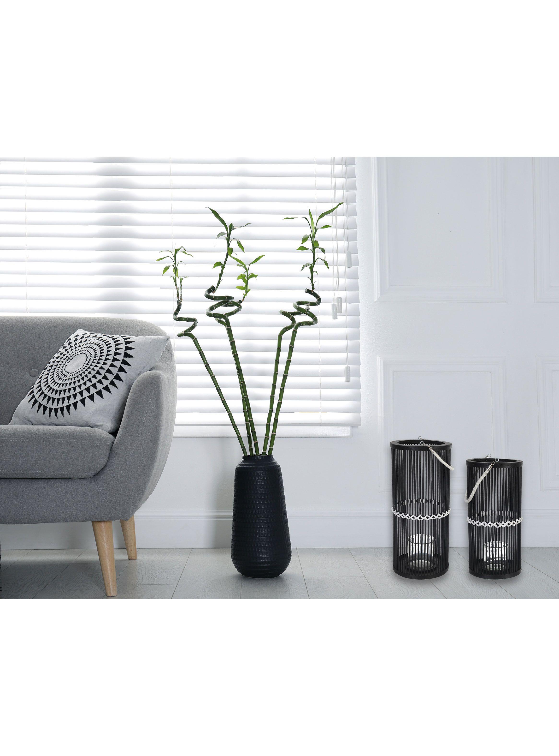 Fanal 17 cm Negro-1