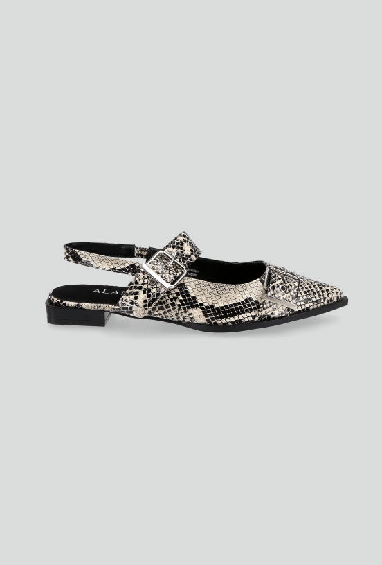 Ballerina Flat con Hebillas Metálicas Mujer-4