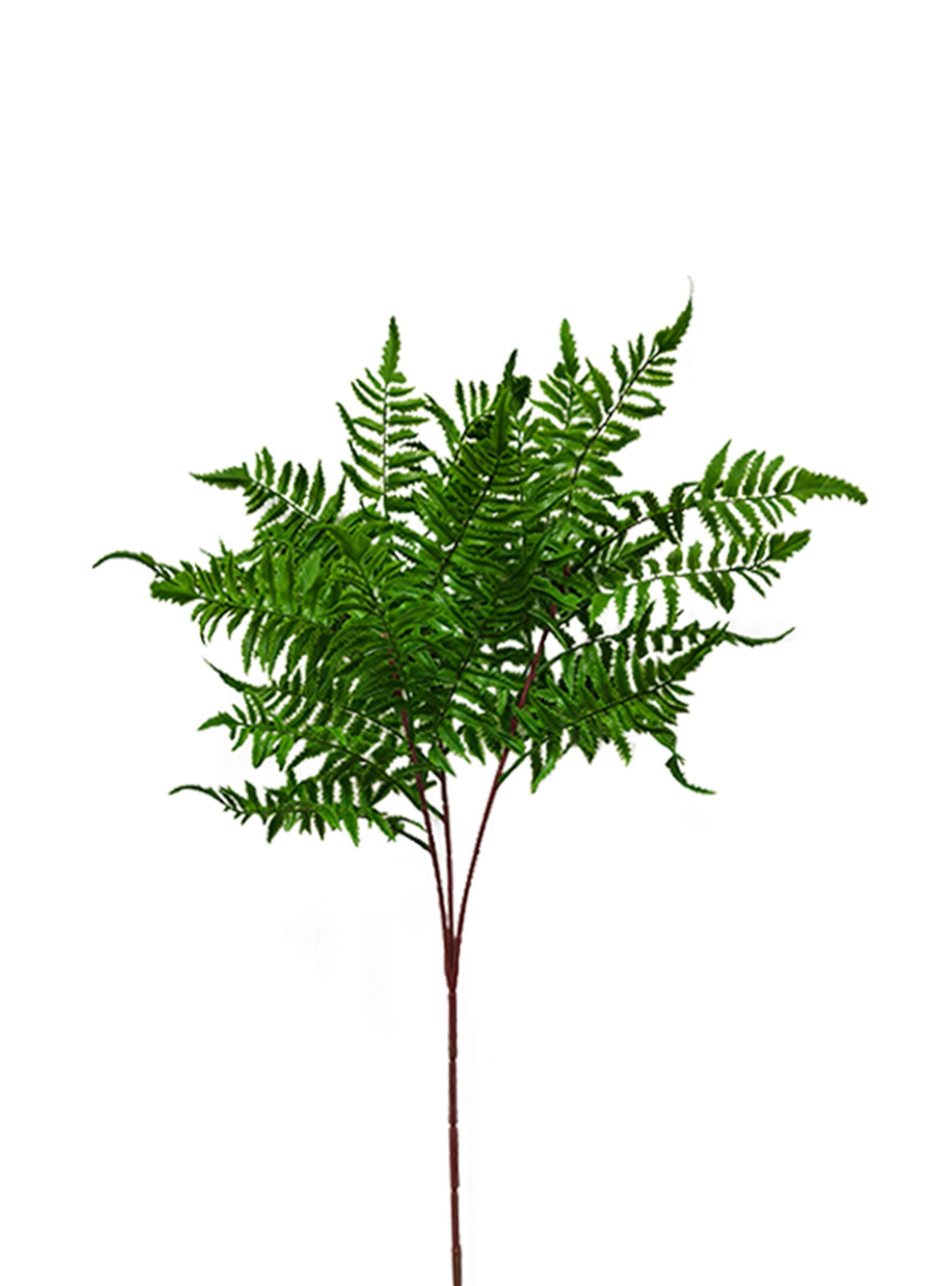 Ramas de Helecho 2 Piezas-2