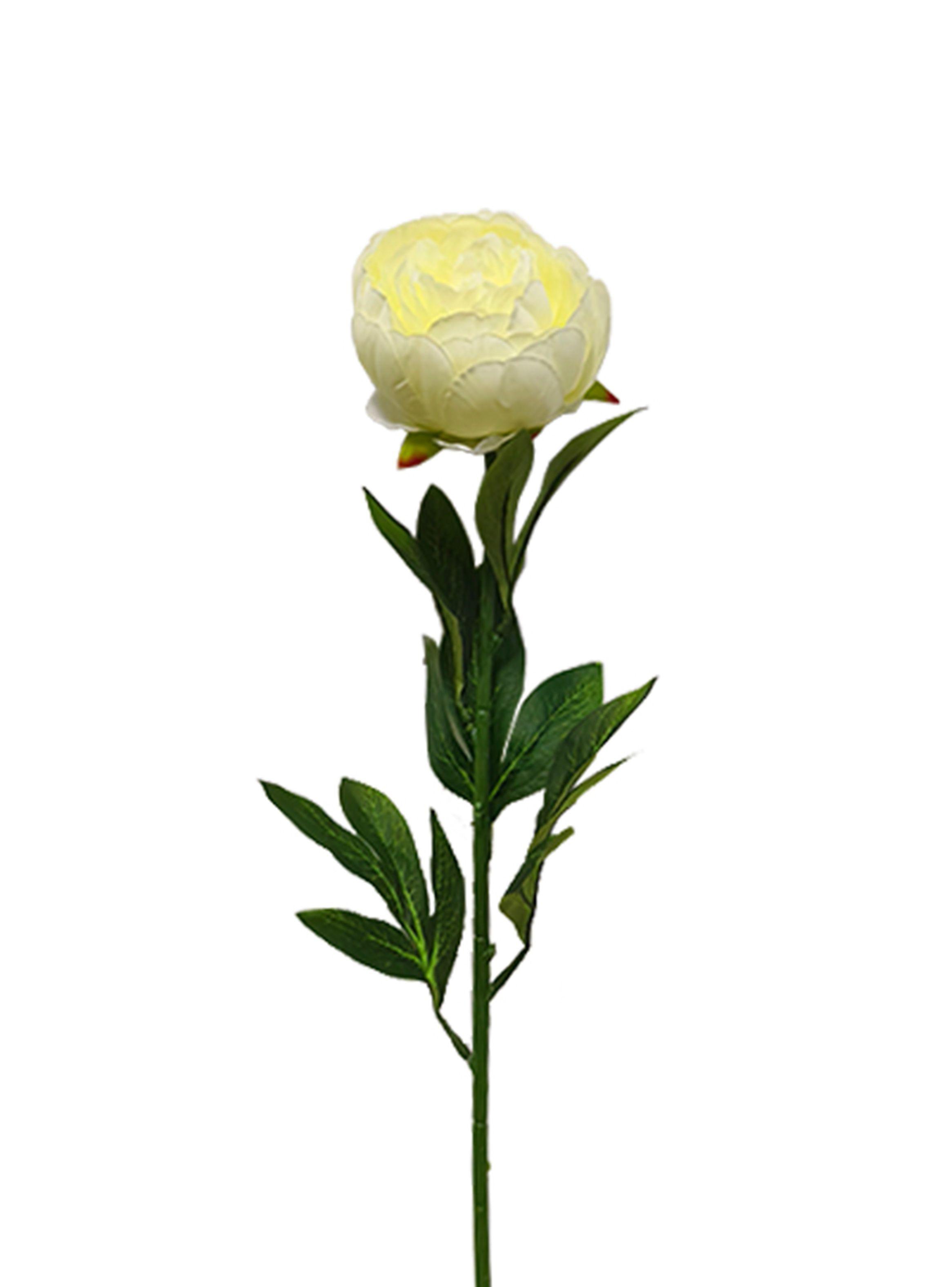 Peonia Blanco 2 Piezas-2