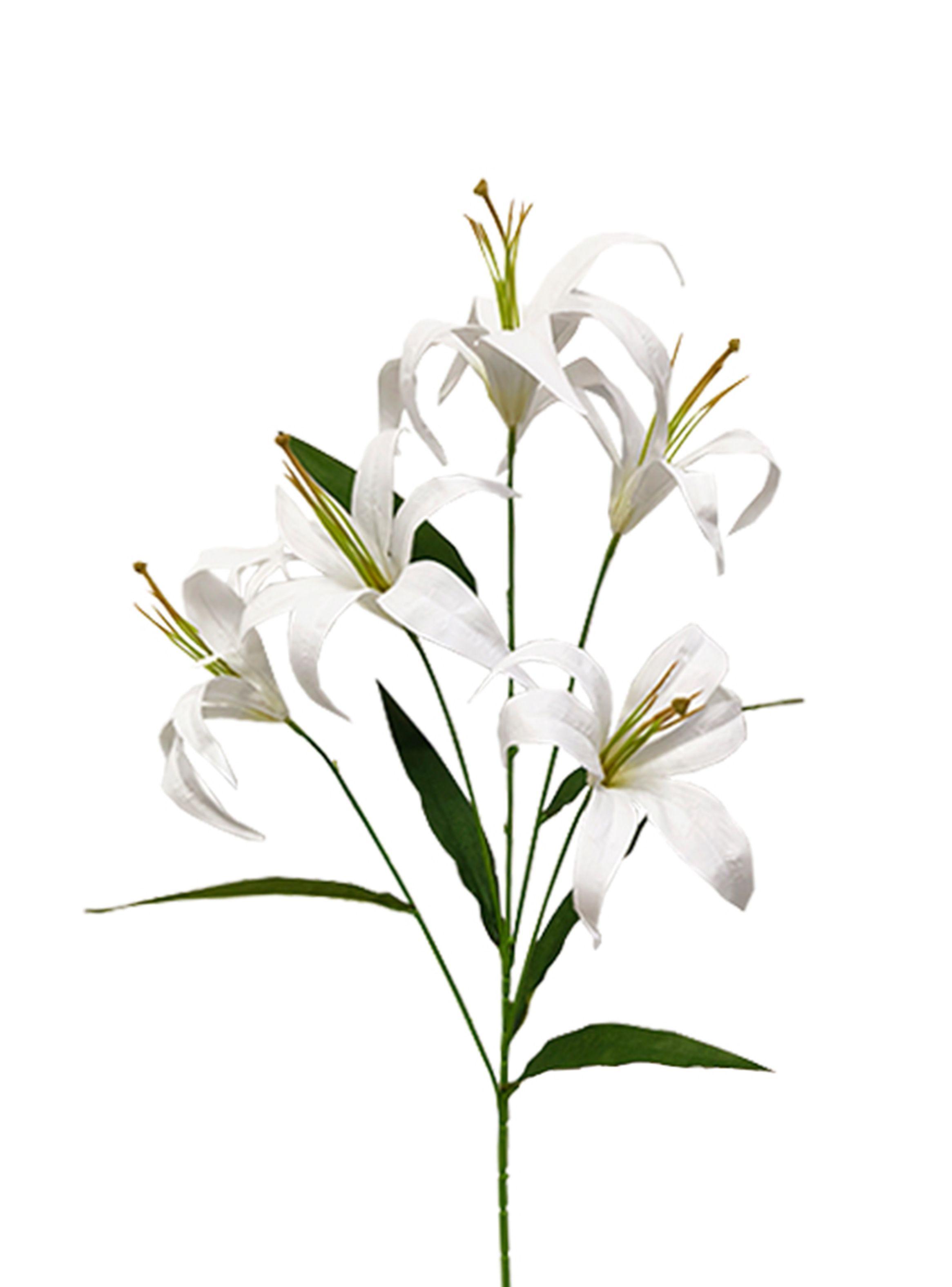 Lilium Blanco 2 Piezas-2