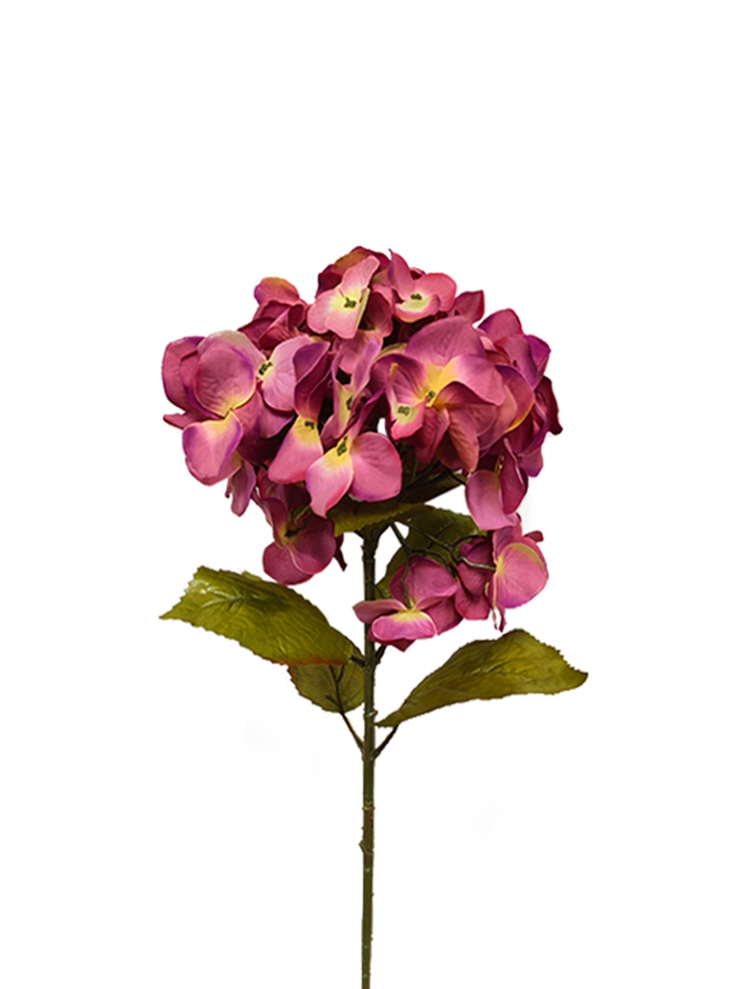Hortensia Rosado 2 Piezas-2