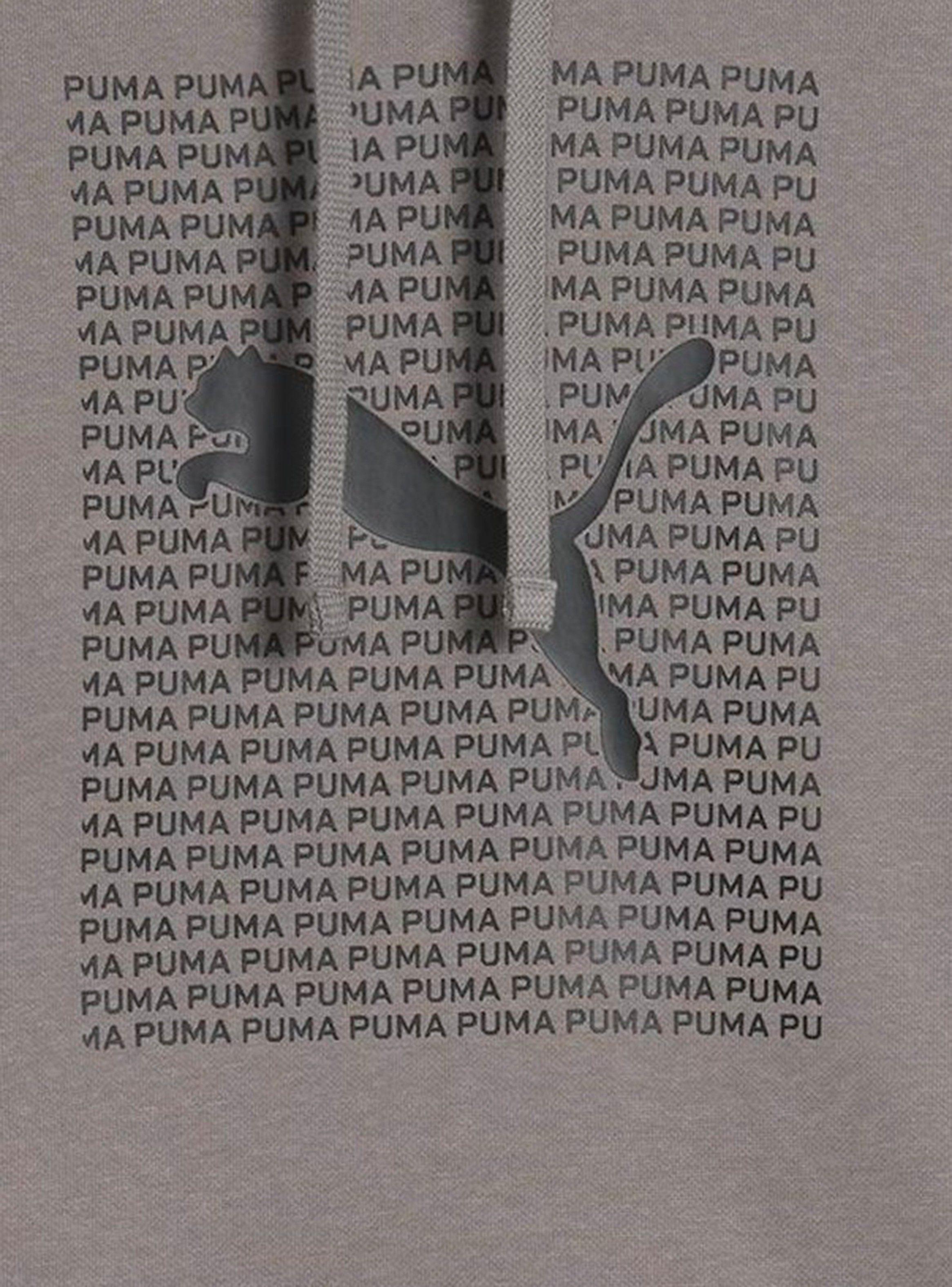 Polerón Lab Hoodie Fl Ess Logo-2