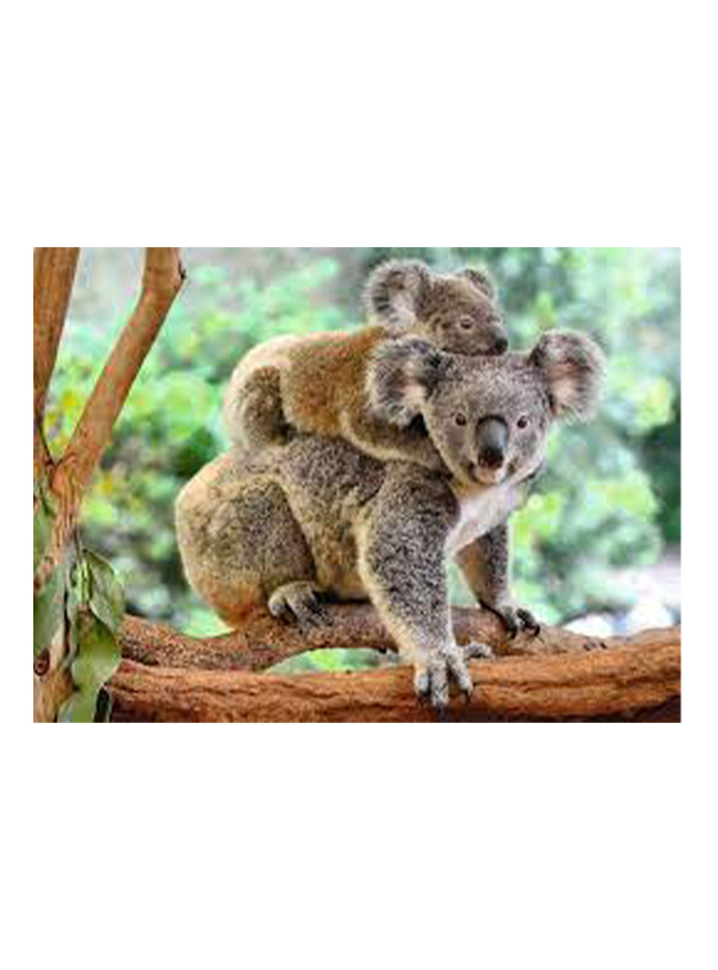 Ravensburger Puzzle XXL Koala Love 200 Piezas Caramba-1