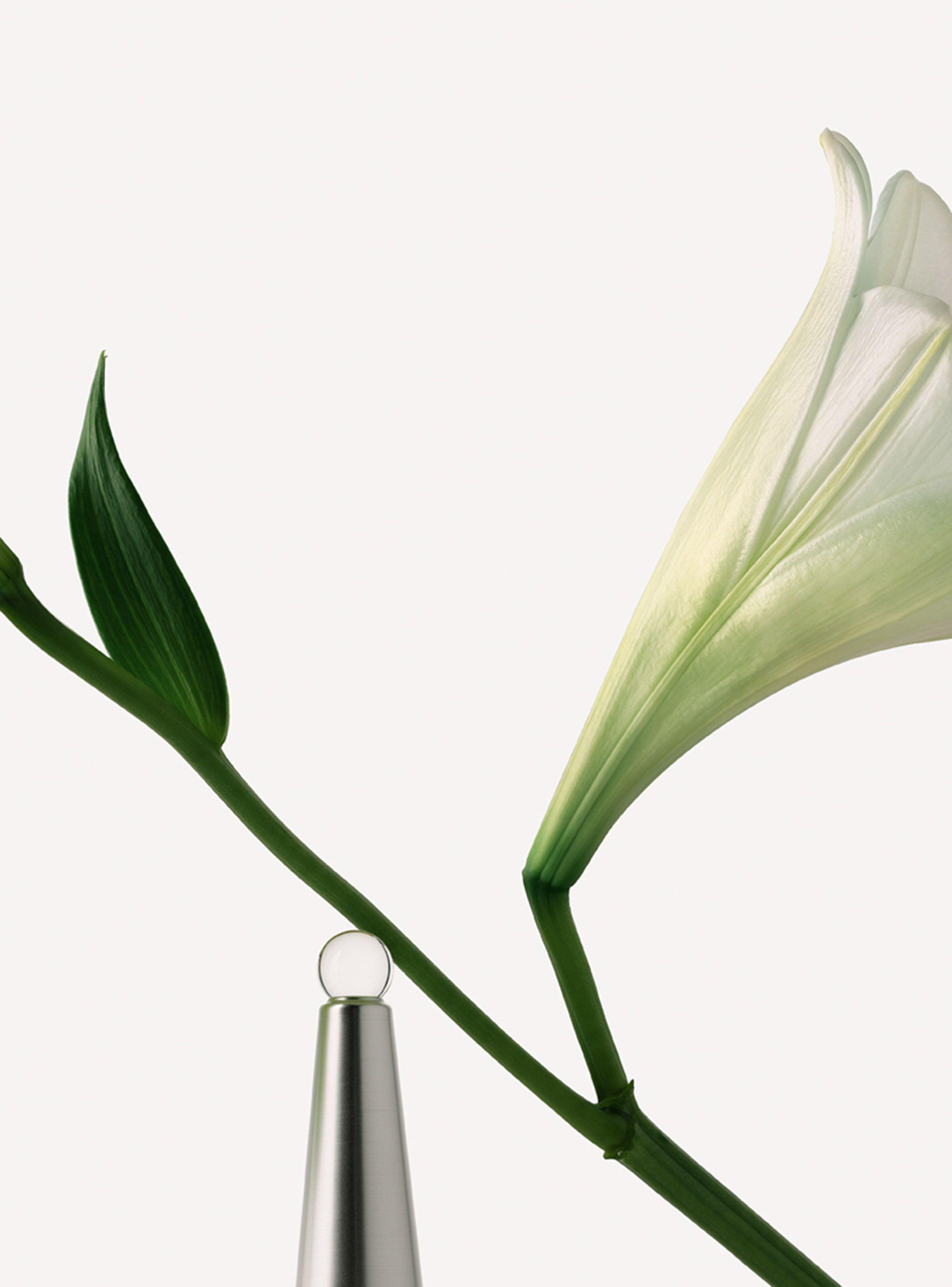 Perfume Issey Miyake Im L'eau D'issey EDT Mujer 100 ml-4