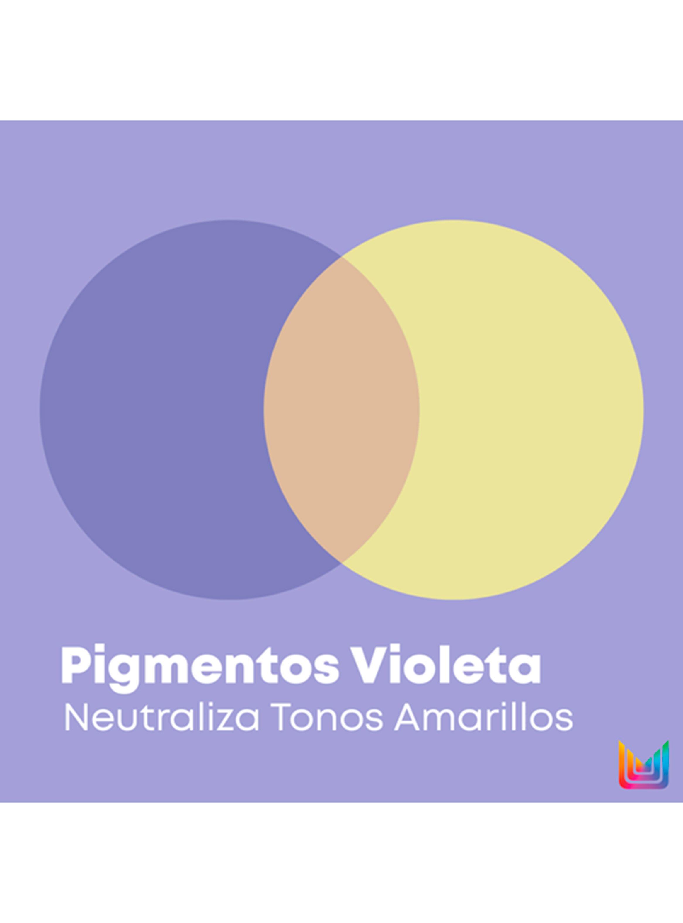 Acondicionador Pigmentado Morado Cabellos Rubios y Grises So Silver 300ml Matrix-4