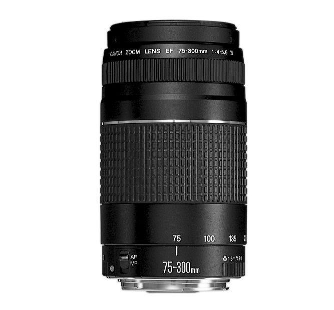 Cámara Canon Reflex T6 + Lente 18-55m + Lente 70-300mm + bolso + Memoria 16GB-4