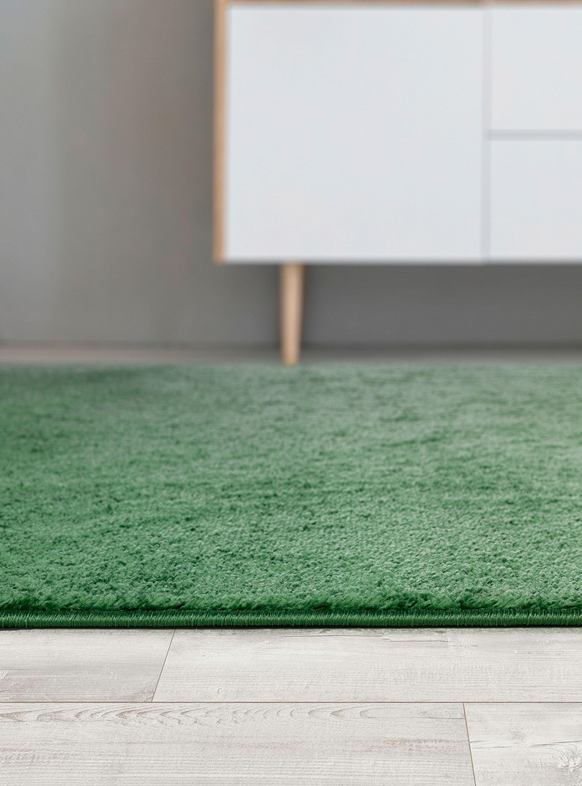 Alfombra Living-Comedor 160 x 210 cm Florida Verde Liso-4
