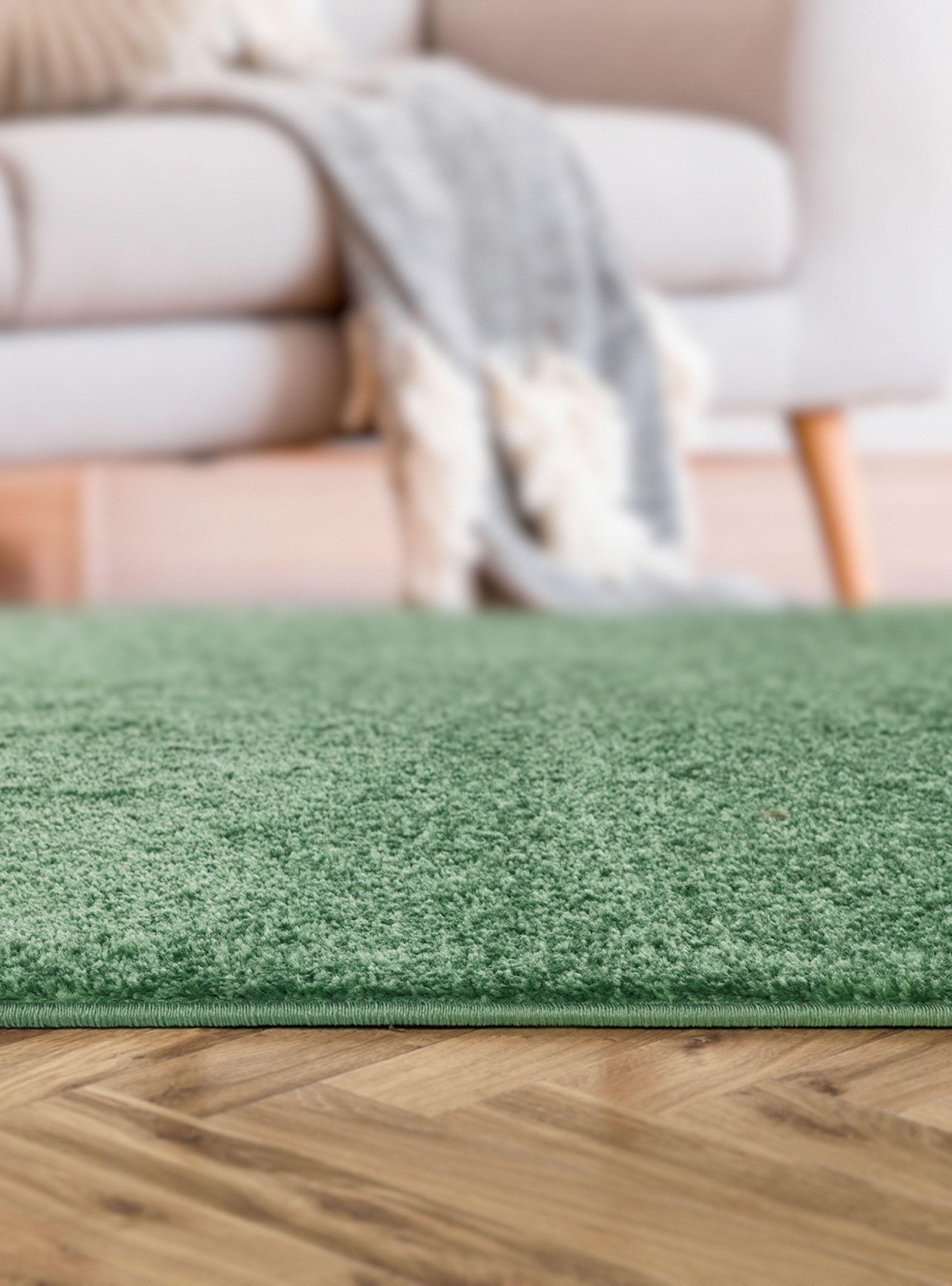 Alfombra de Pasillo 70 x 230 cm Florida D3 Verde-4