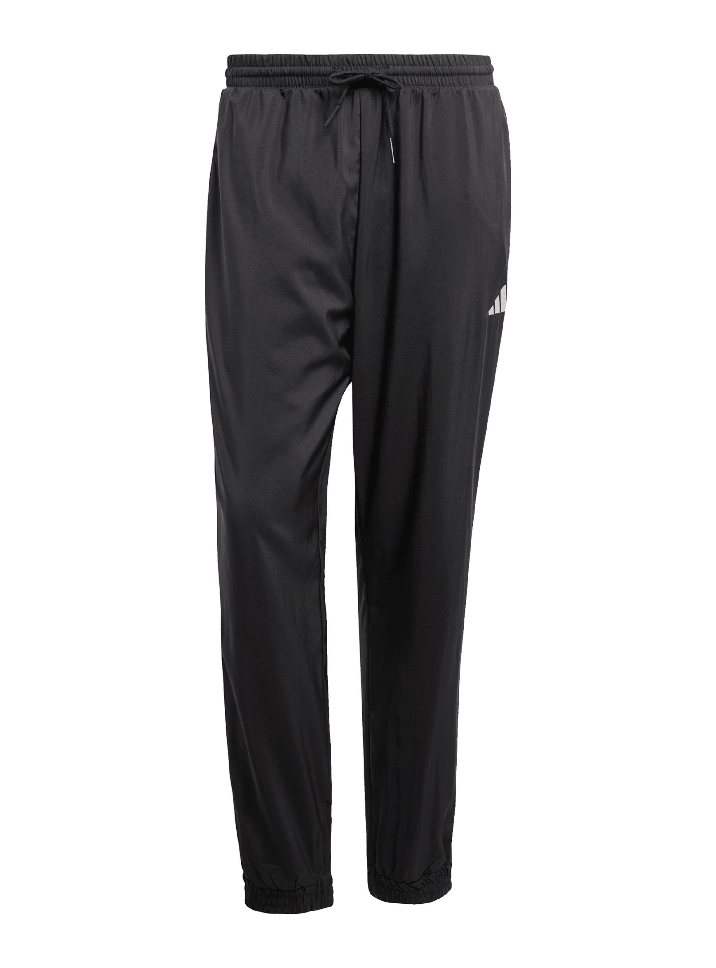 Pantalón de Buzo Logo M Stanfrd E Pt Jogger-5