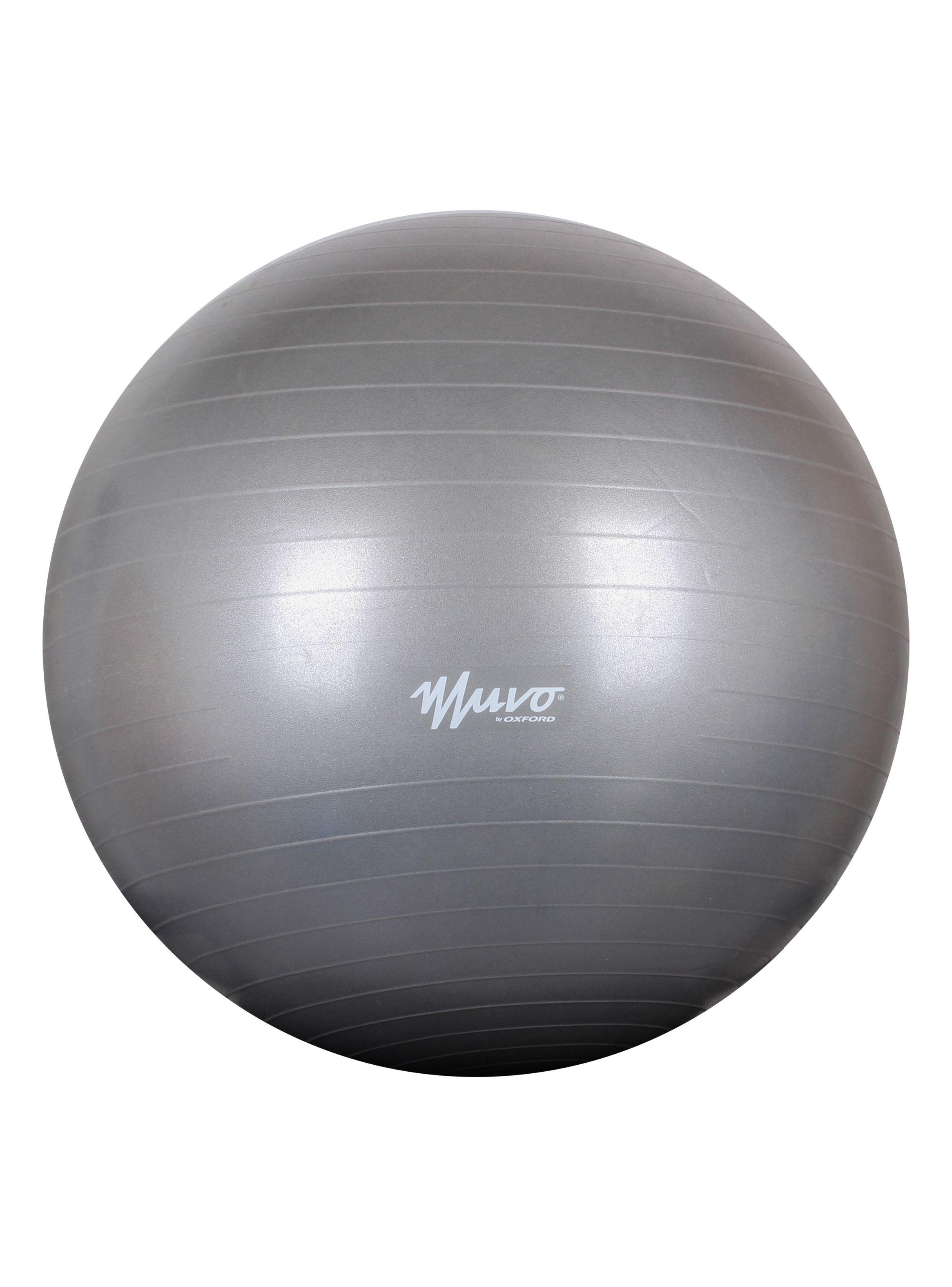 Pelota Gym 65 cm  x 1100G-0