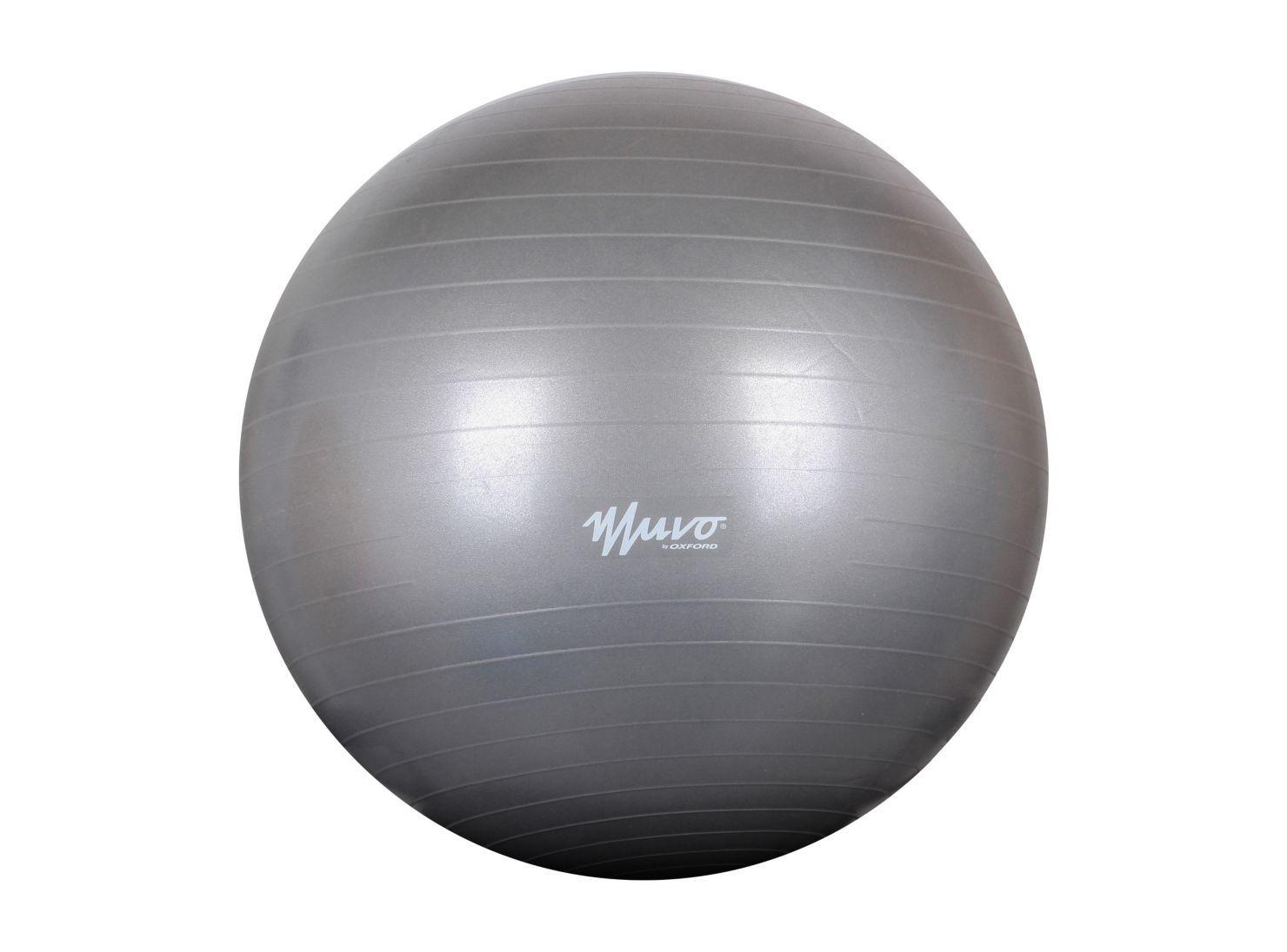Pelota Gym 65 cm  x 1100G-0