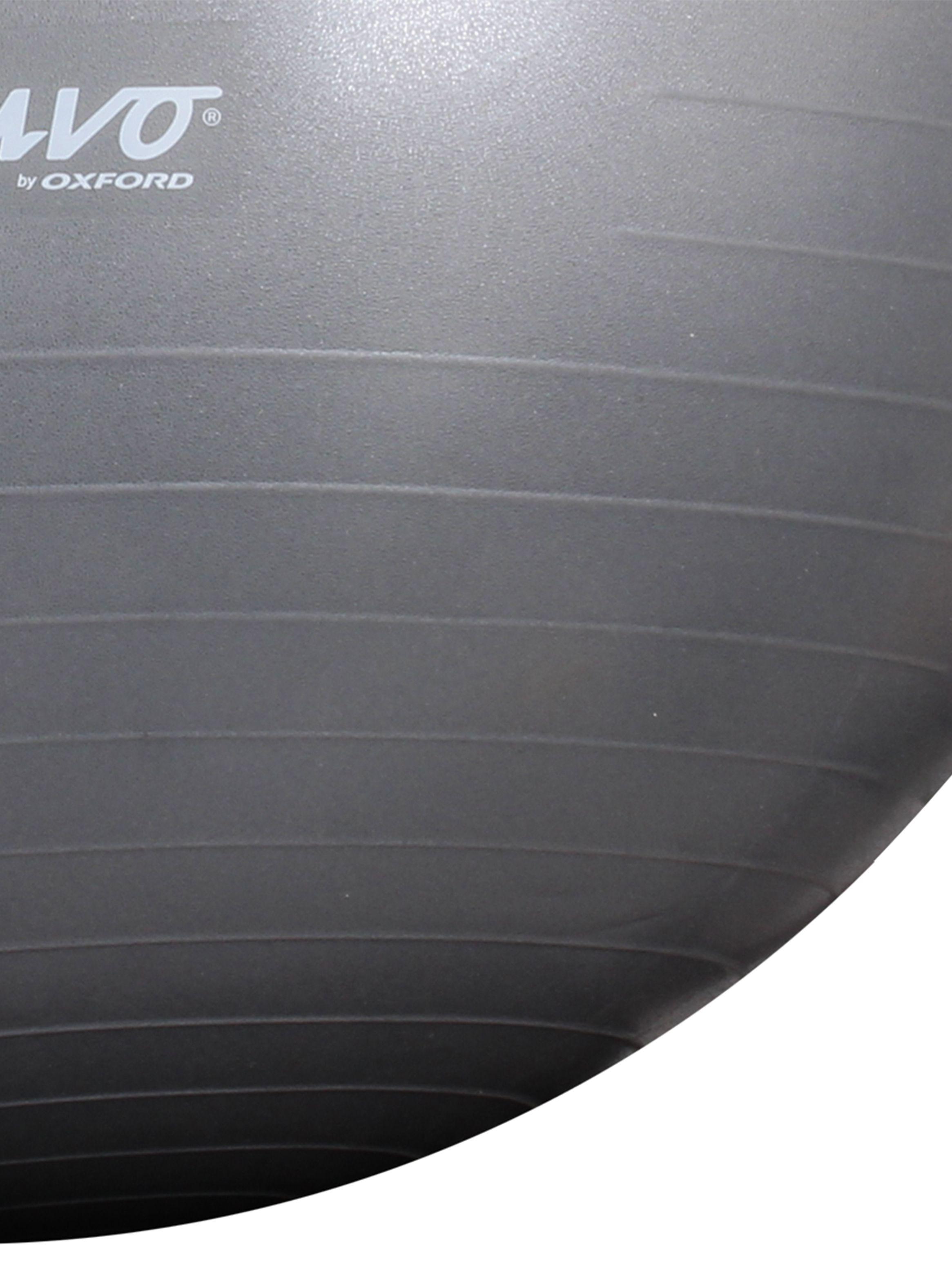 Pelota Gym 65 cm  x 1100G-1