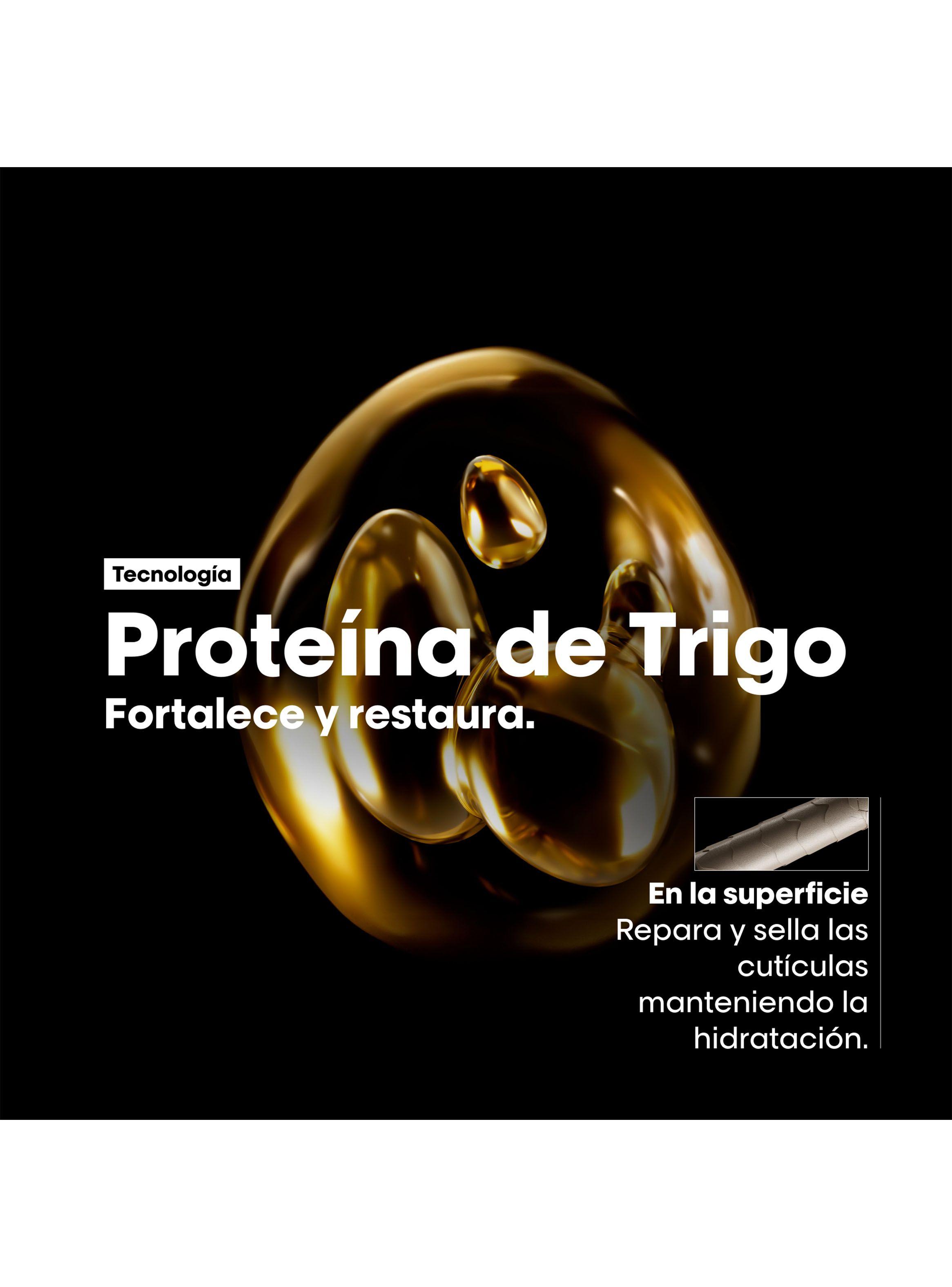 Set Profesional Reparación y Nutrición Shampoo 500ml + Máscara con Enjuague 250ml Absolut Repair  L´Oréal Professionnel-4