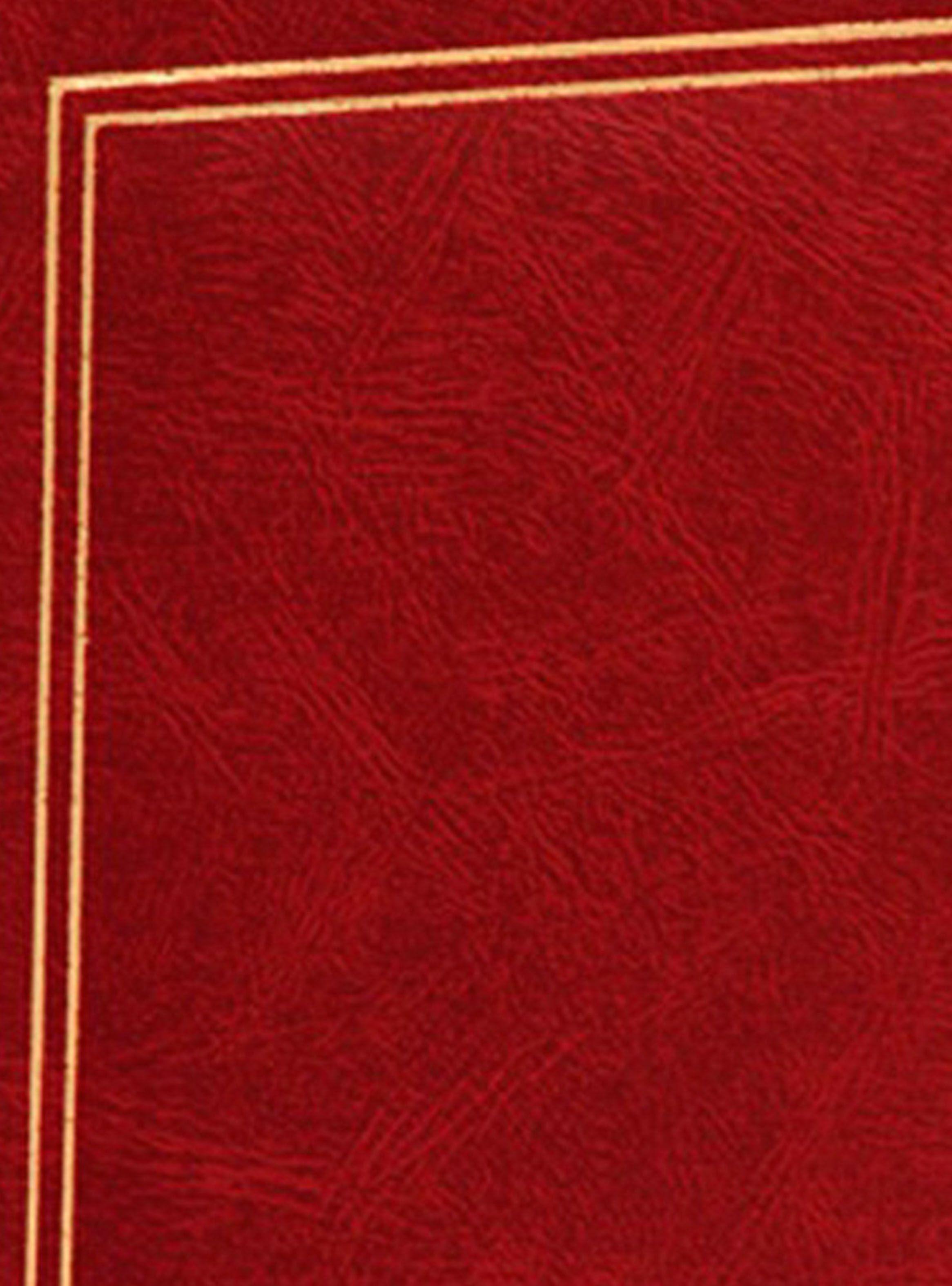 Álbum VGO 10 x 15 cm 100 Fotos Liso Burdeo-1