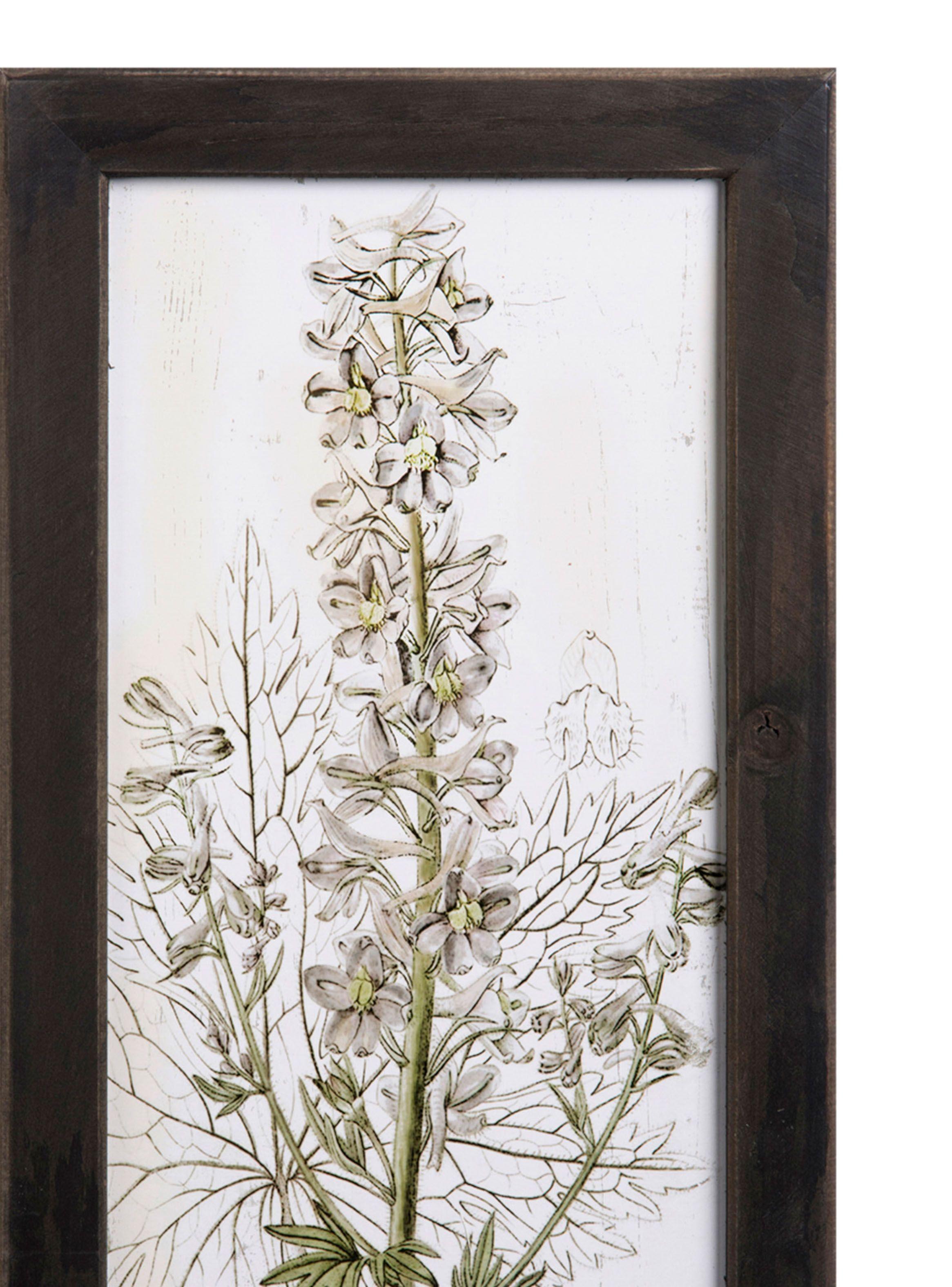 Cuadro Madera 45 x 36 cm Serie Plantas 4 VGO-1
