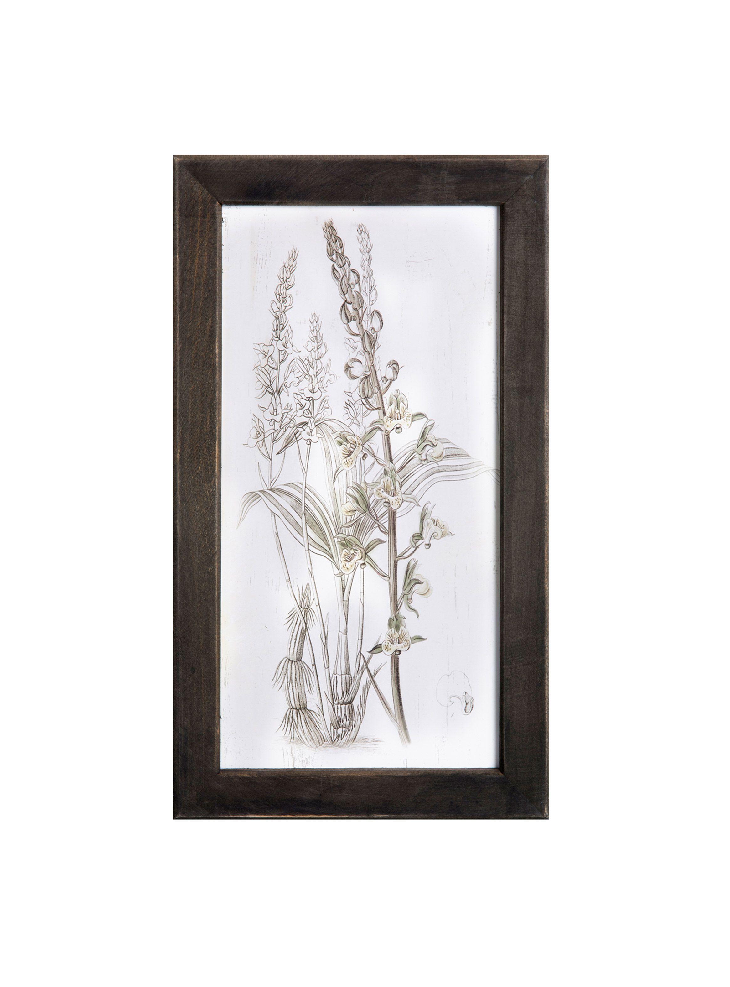 Cuadro Madera 45 x 36 cm Serie Plantas 6 VGO-0