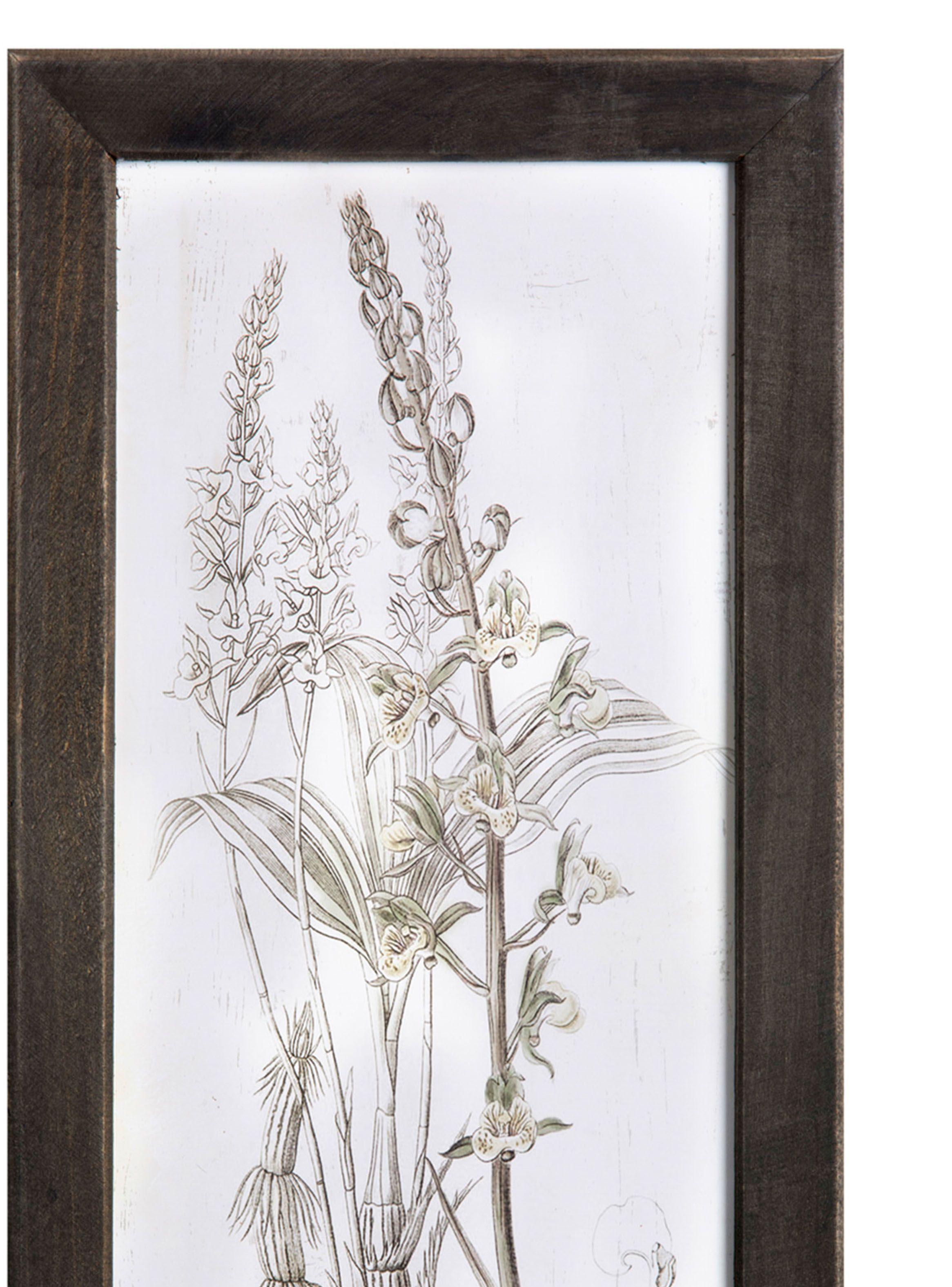 Cuadro Madera 45 x 36 cm Serie Plantas 6 VGO-1