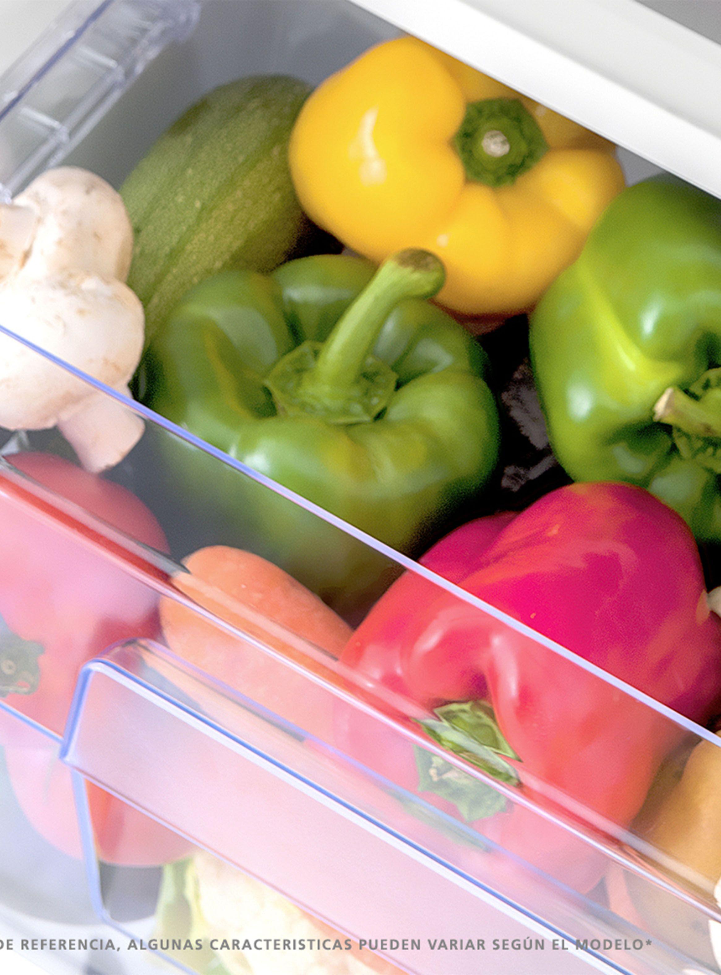 Refrigerador Bottom Freezer Frío Directo 244 Litros RMB276PXLCX0 Inox-3