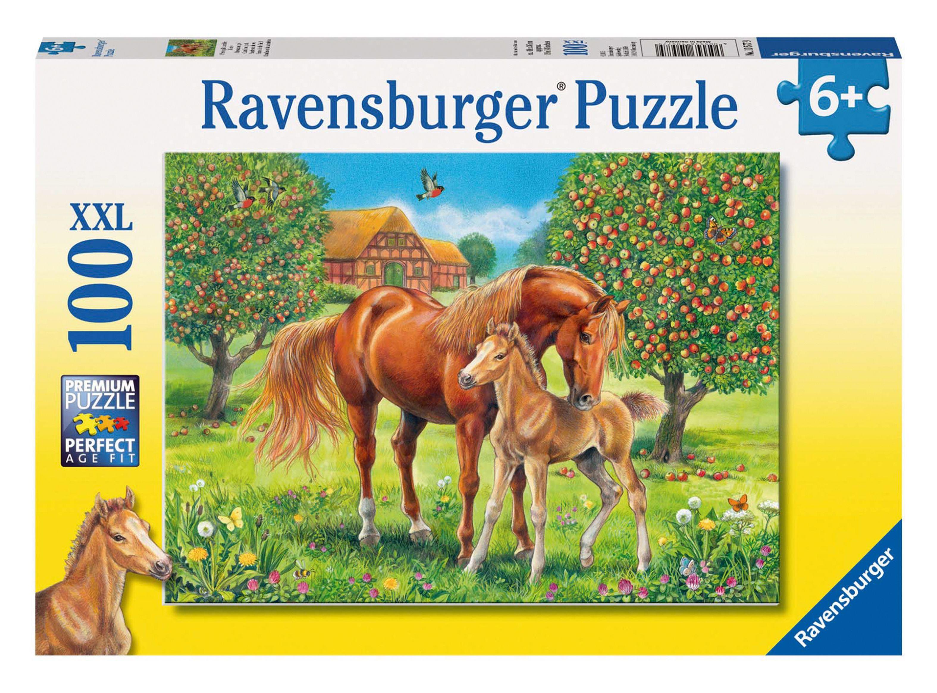 Puzzle XXL Caballos en el Campo 100 Piezas Caramba-0