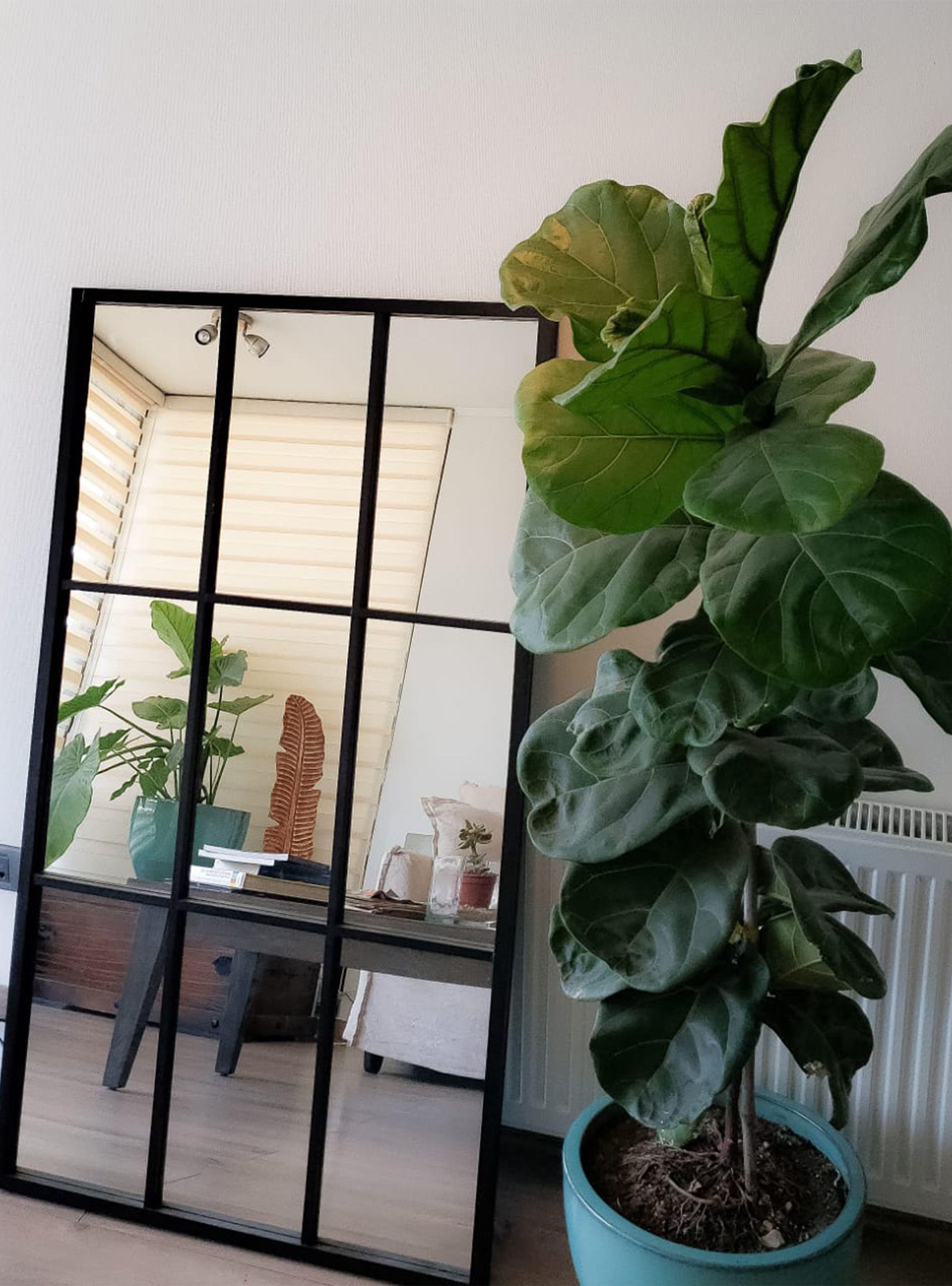 Espejo Ventana Licanray 120 x 80 cm Negro-2
