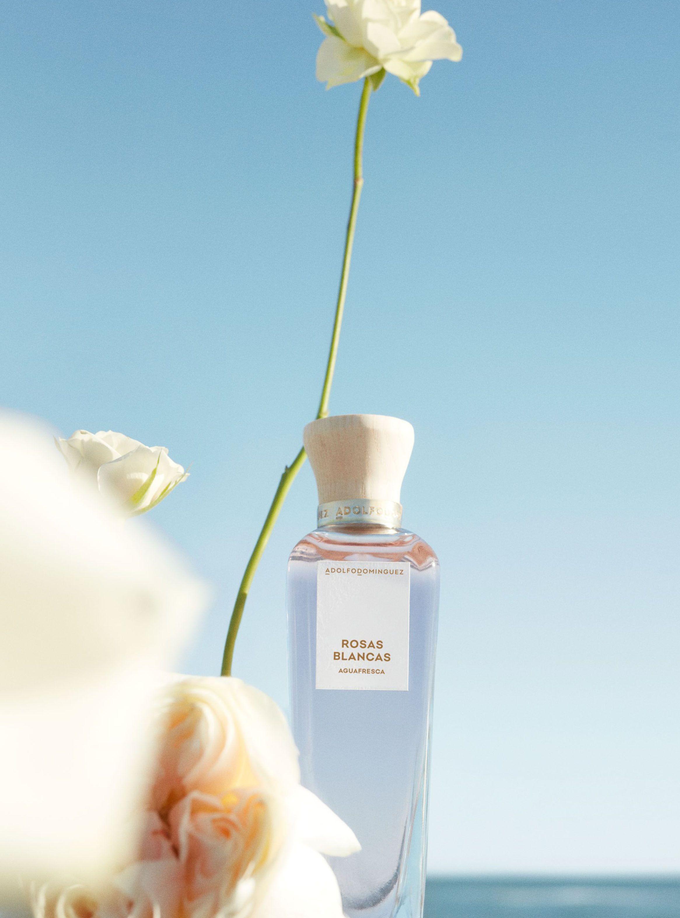 Set Perfume Adolfo Domínguez Agua Fresca Rosas Blancas EDT Mujer 120ml + Body Lotion 75ml-4