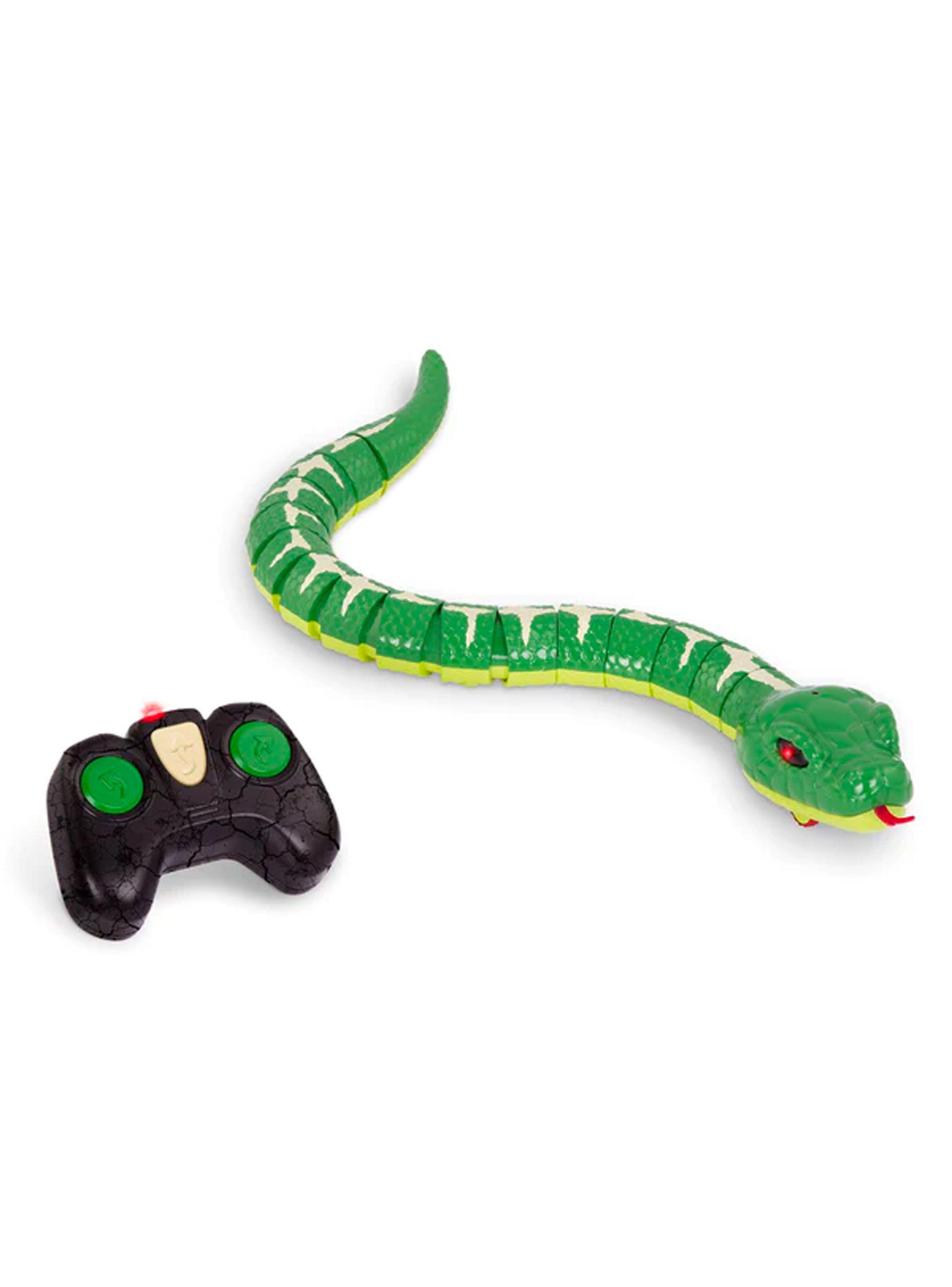 Terra Serpiente arcoíris - Verde Caramba-0