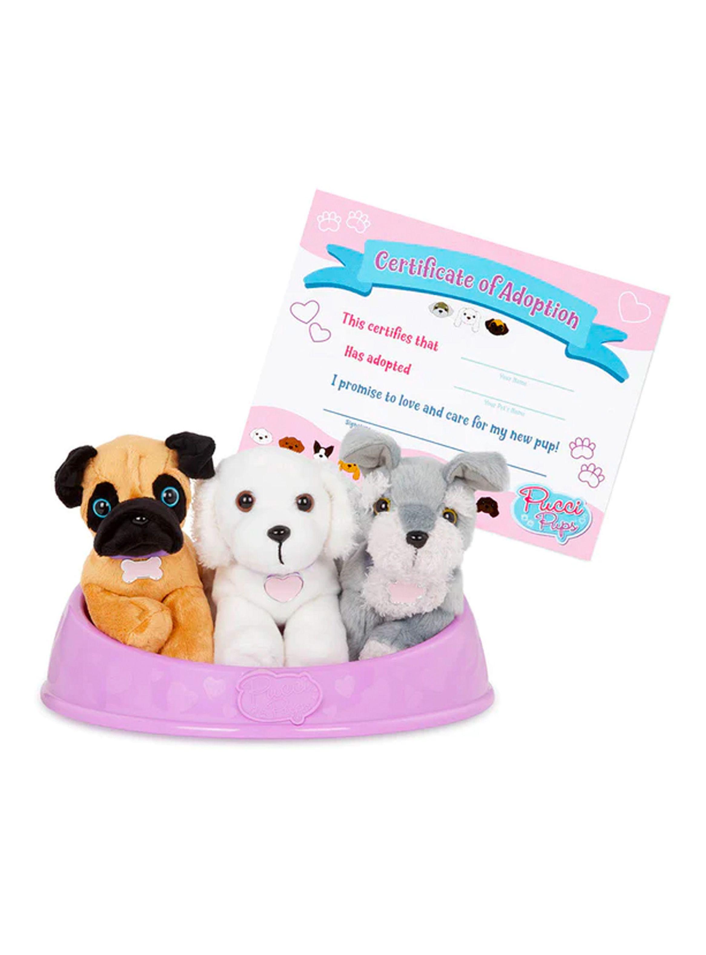 Pucci pups Adopta 3 perros Pug Maltés y Schnauzer Caramba-0