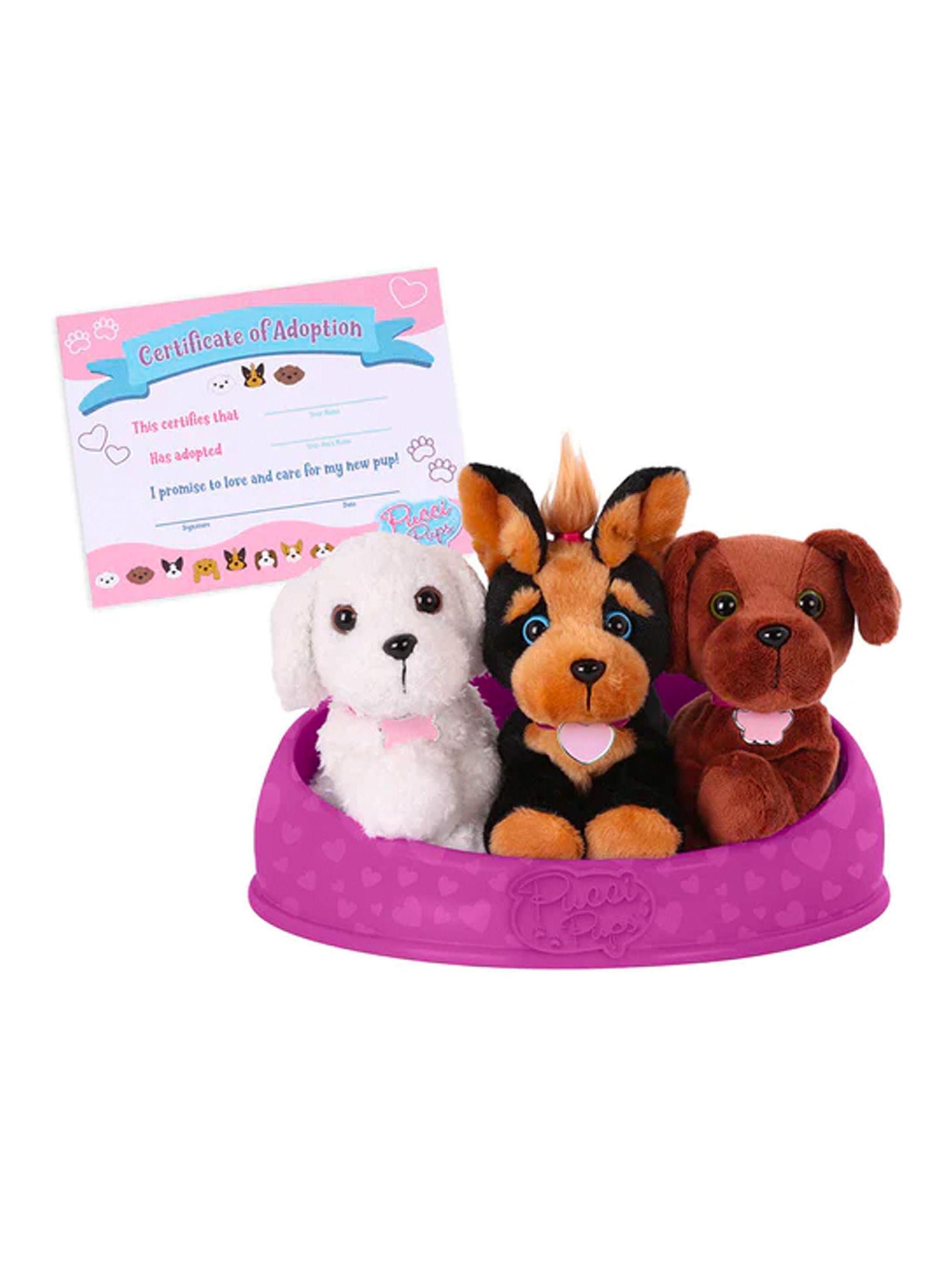 Adopta 3 Perros Bichon Yorkshire & Labrador-0