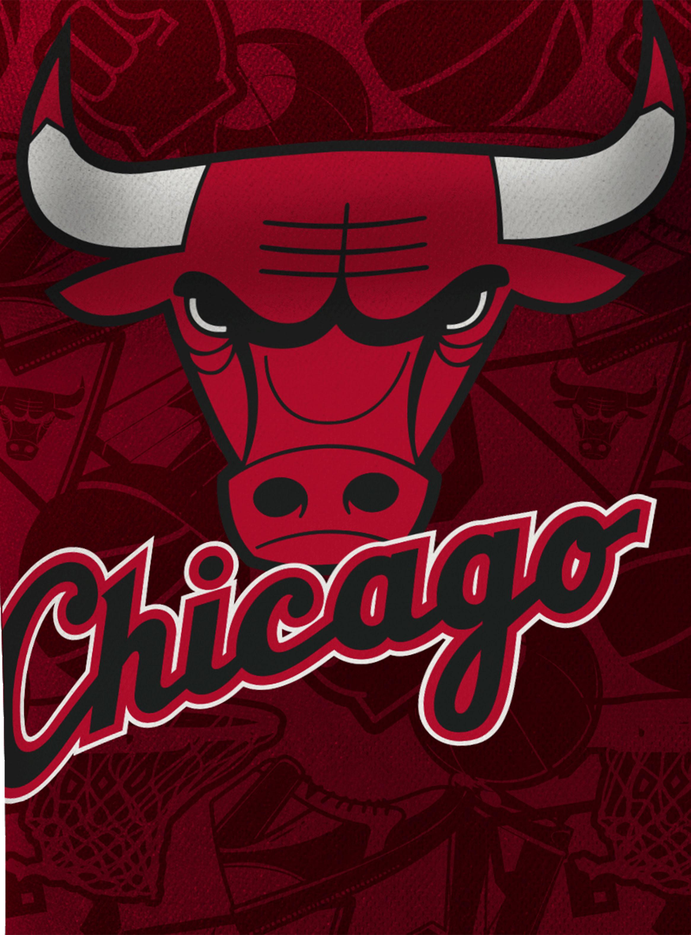 Polera sin Mangas Estampado Espalda Chicago Bulls Player-3