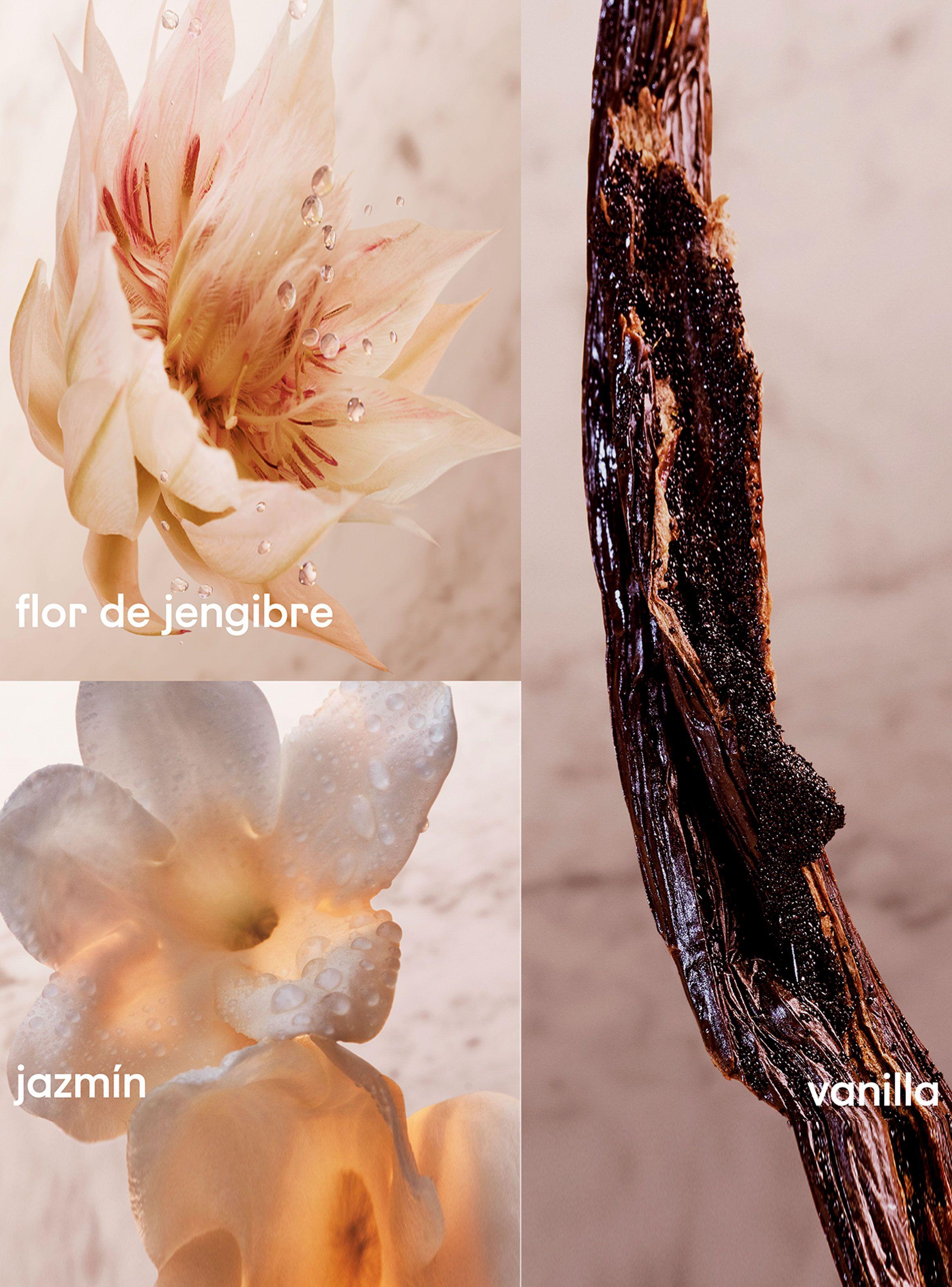 Perfume Mujer Rabanne Olympéa EDT 80 ml + Muestra 1.5 ml-4