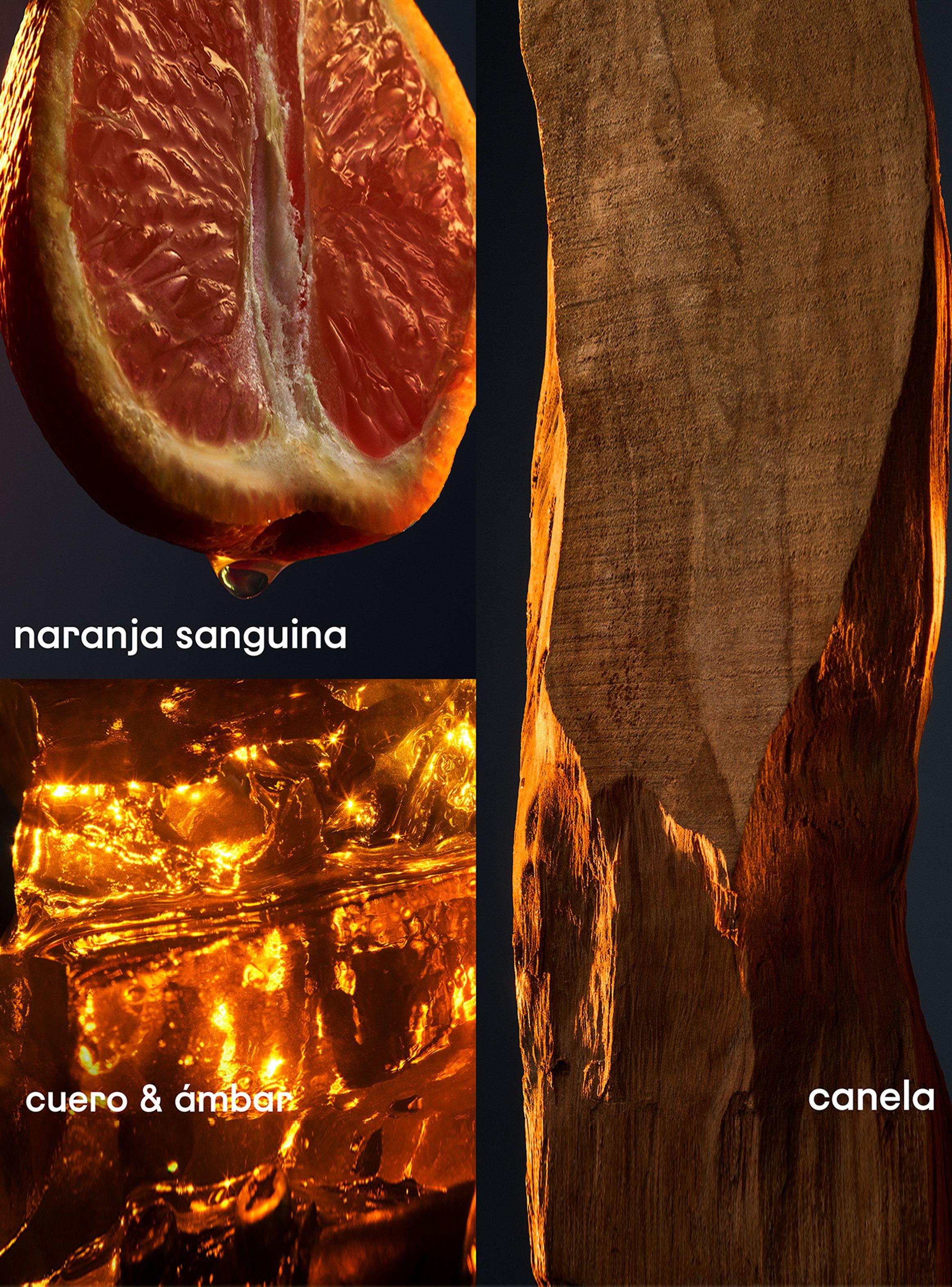 Perfume Paco Rabanne One Million EDT 50 ml + Muestra 1.5 ml-5