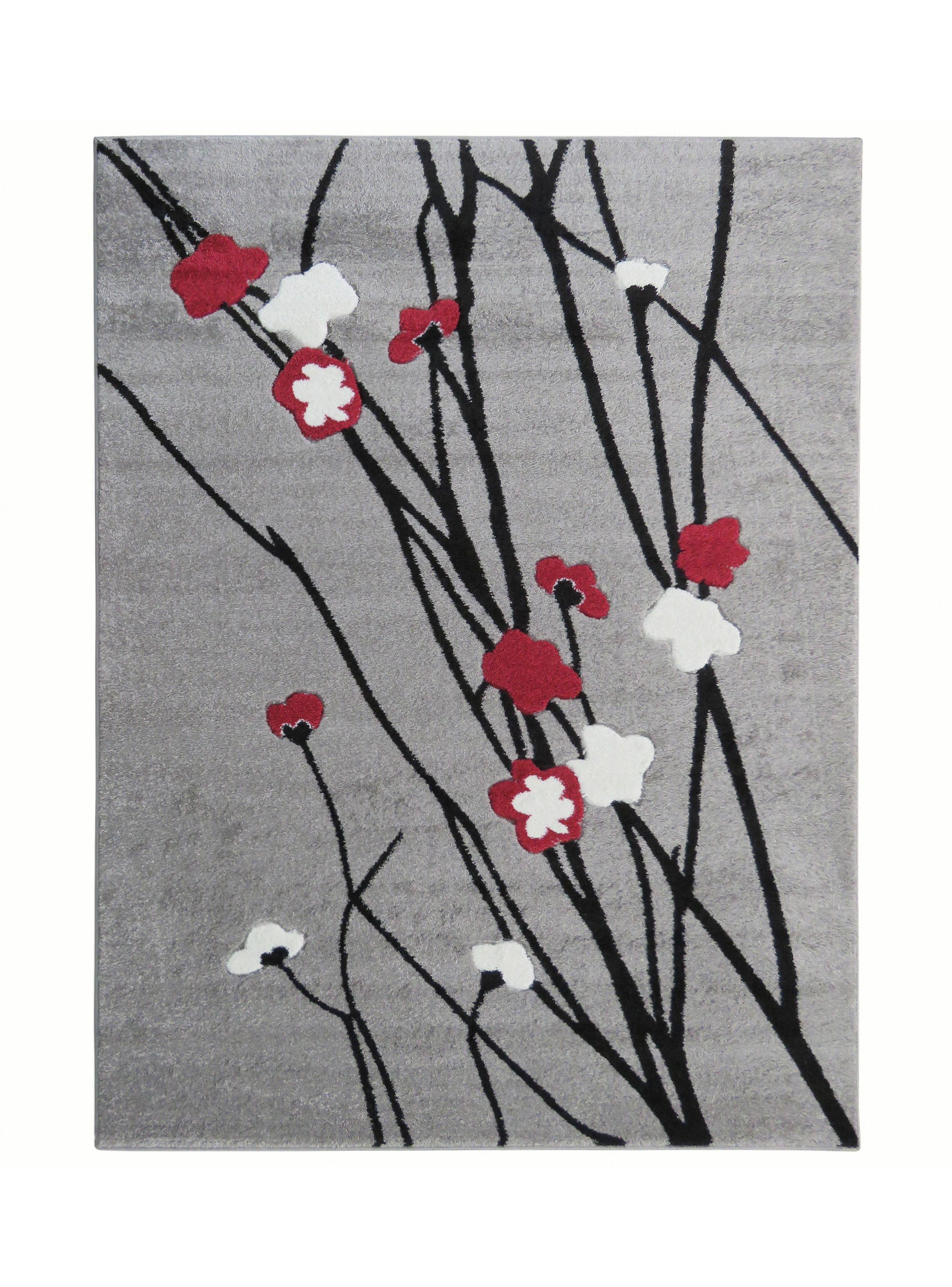 Alfombra Modernas Estampado D5 150x200 cm-0